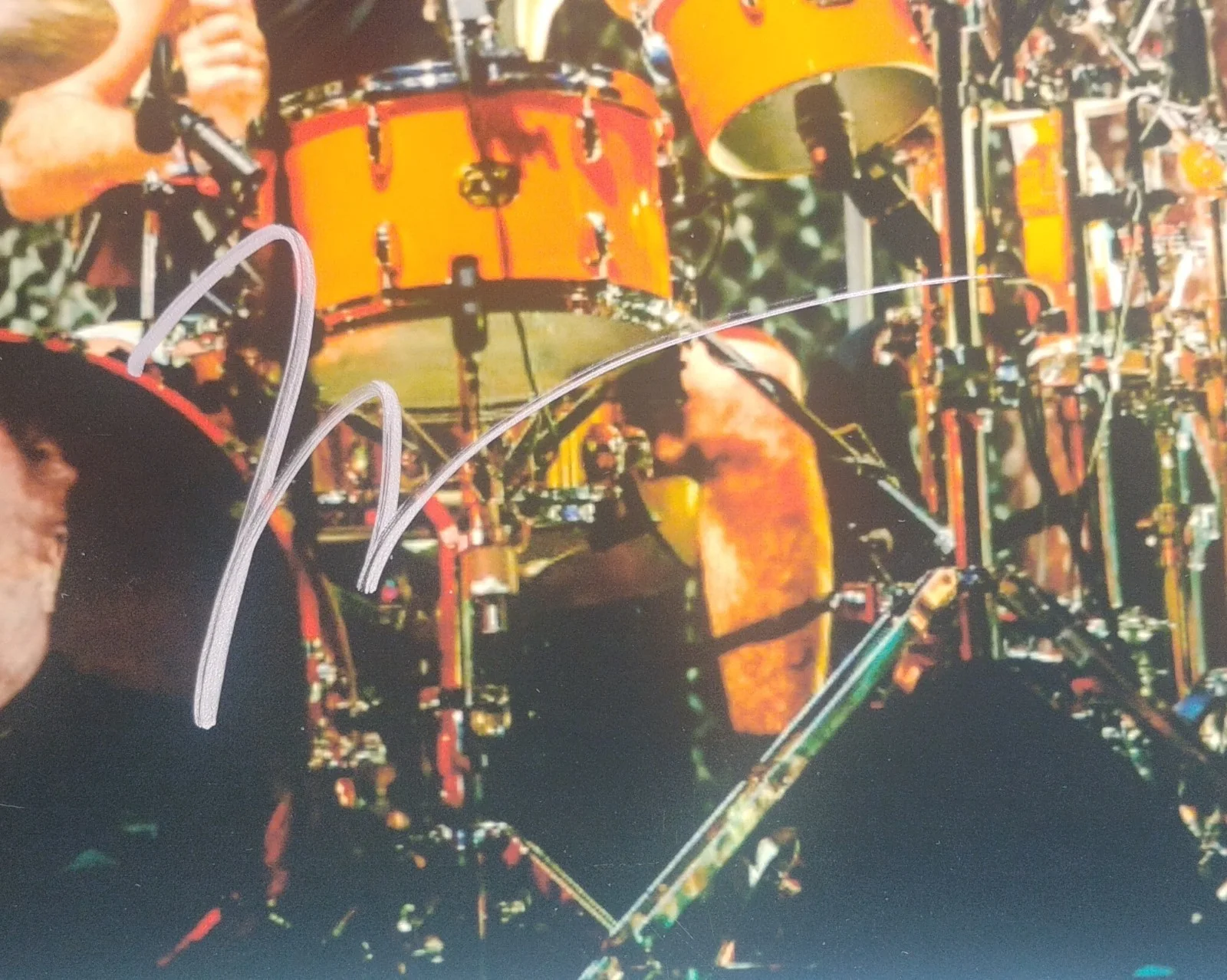 Taylor Hawkins Hand Signed Autograph 8x10 Photo COA Foo Fighters NO US TARIFFS, изображение 3