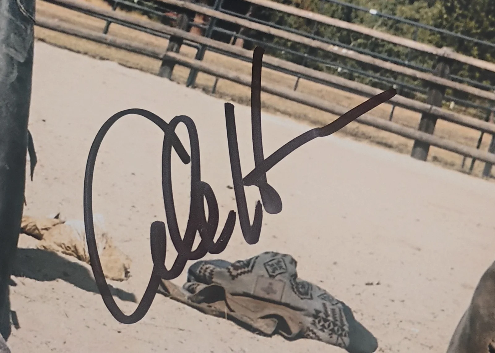 Cole Hauser Hand Signed Autograph 8x10 Photo COA Yellowstone NO US TARIFF, image 3