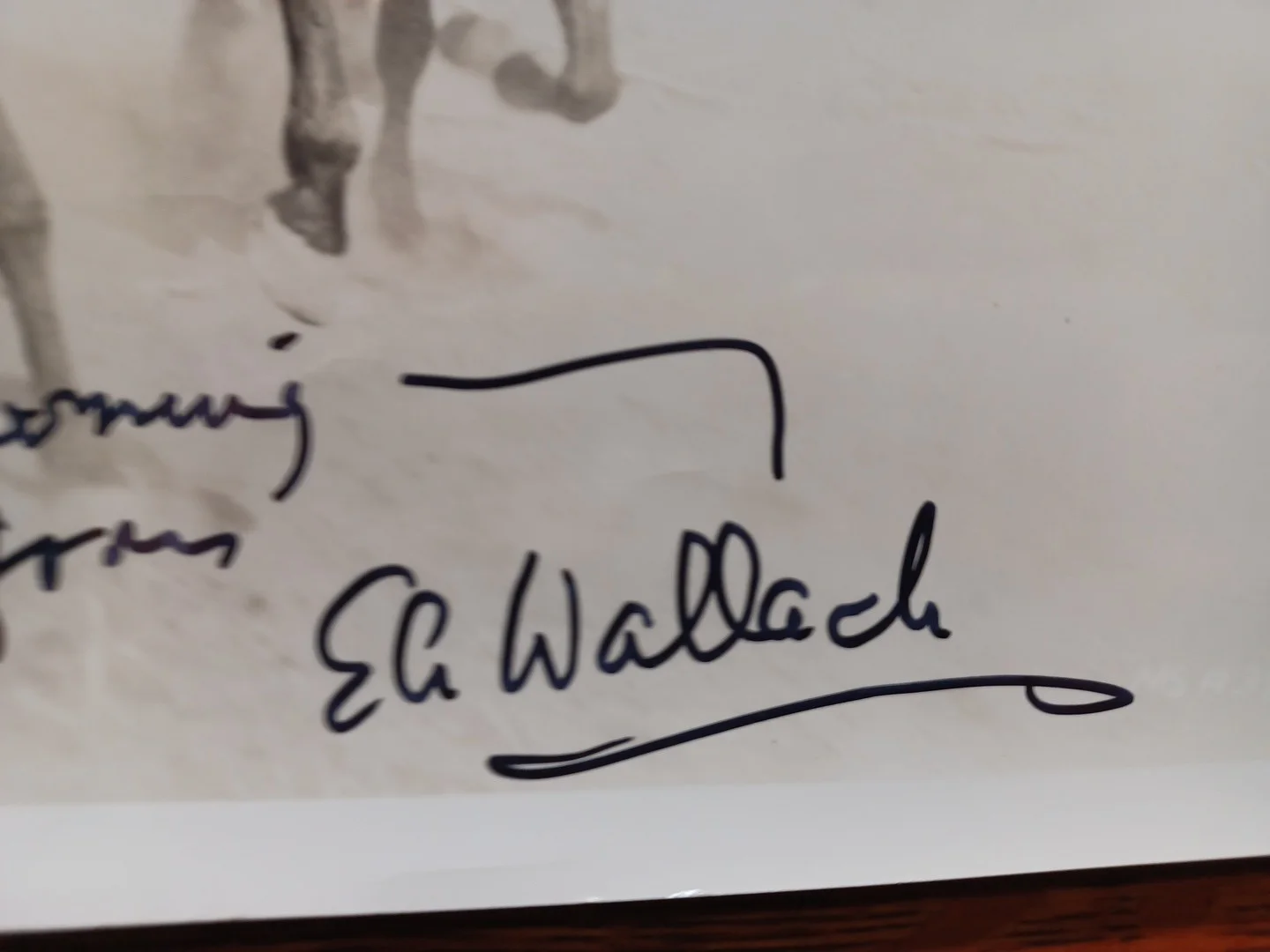 Eli Wallach — 1960 Eli Wallach Signed B&W 8x10 Photo From Magnificent Seven Movie RRP 785, image 2