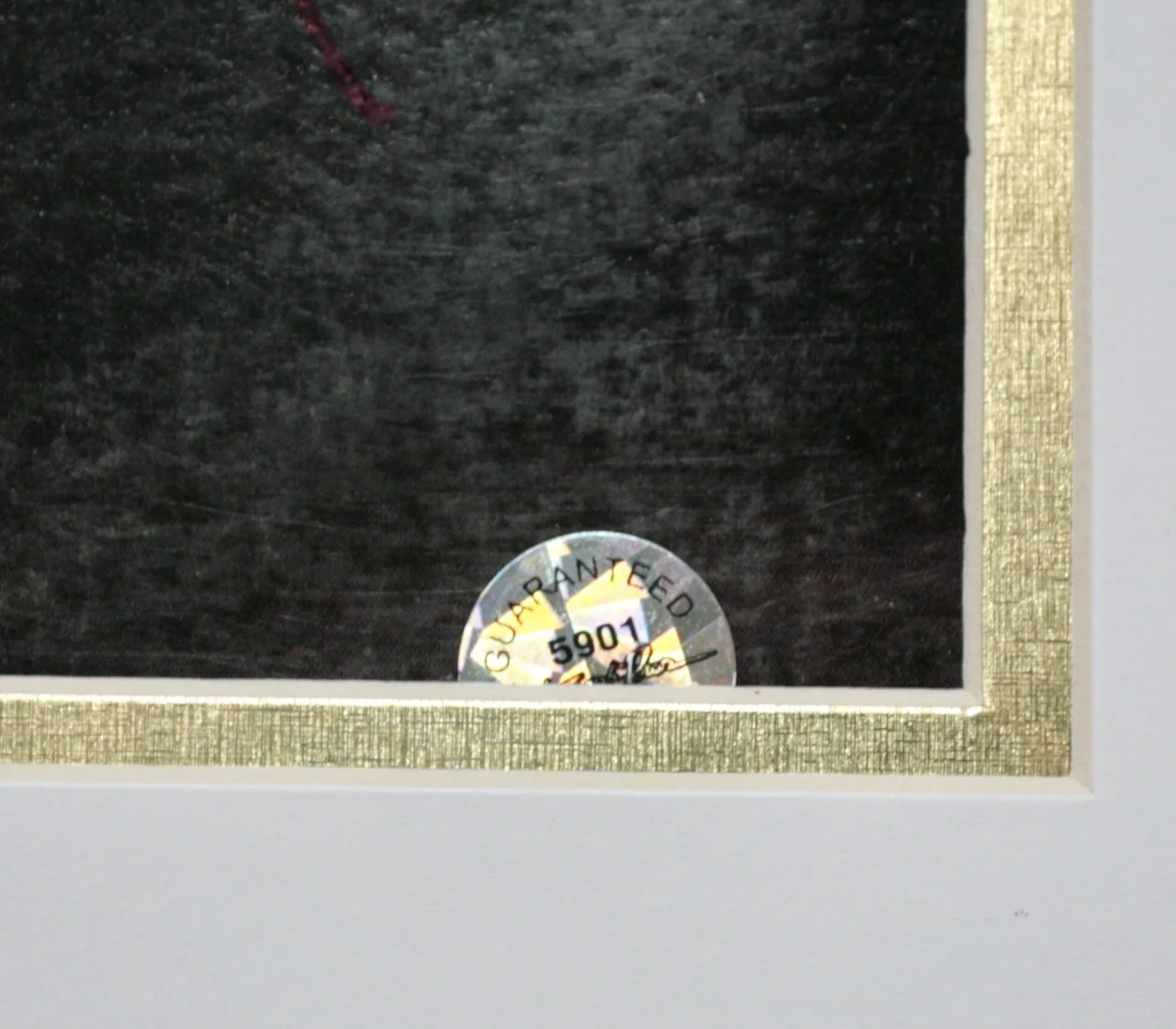 Robert Cray Framed Album Cover, signed by artist with COA, изображение 3