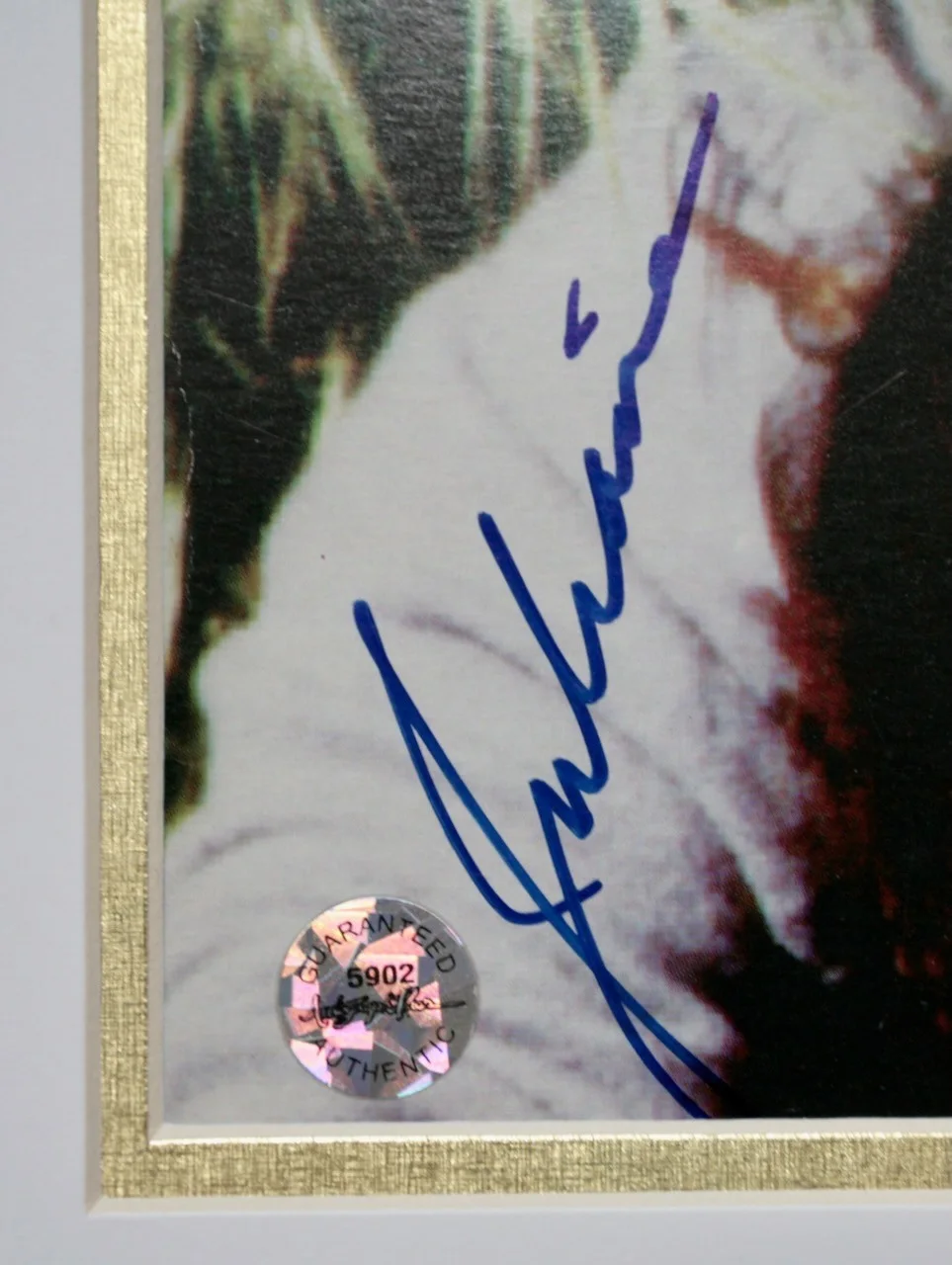 Juliana Hatfield Framed Album Cover, signed by artist with COA, изображение 2