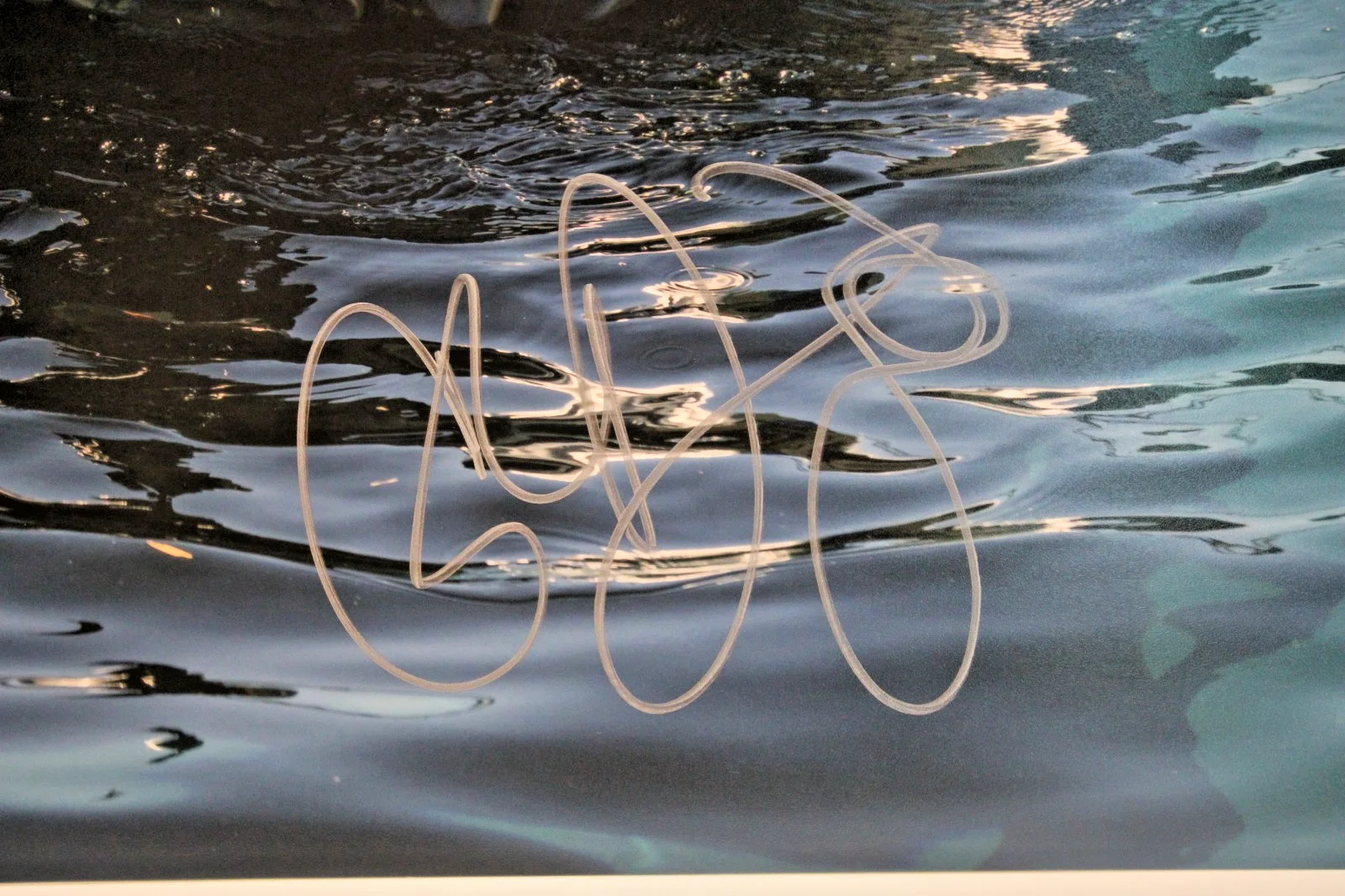 Colman Domingo — Colman Domingo Signed 11x14 Photo Victor Strand Fear The Walking Dead Beckett CO, изображение 2