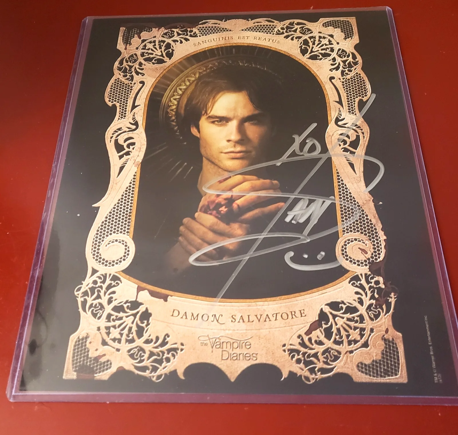 Vampire Diaries Cast Hand-Signed Autographs # 10 Creations Entertainment, изображение 2