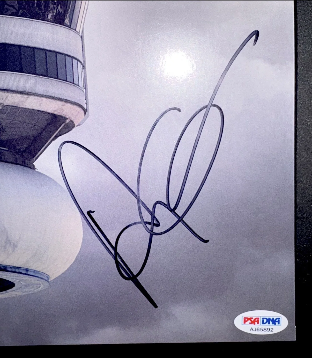 Drake (PSA/DNA) Autographed Vinyl Authenticated Views Take Care CLB Ice Man, изображение 5
