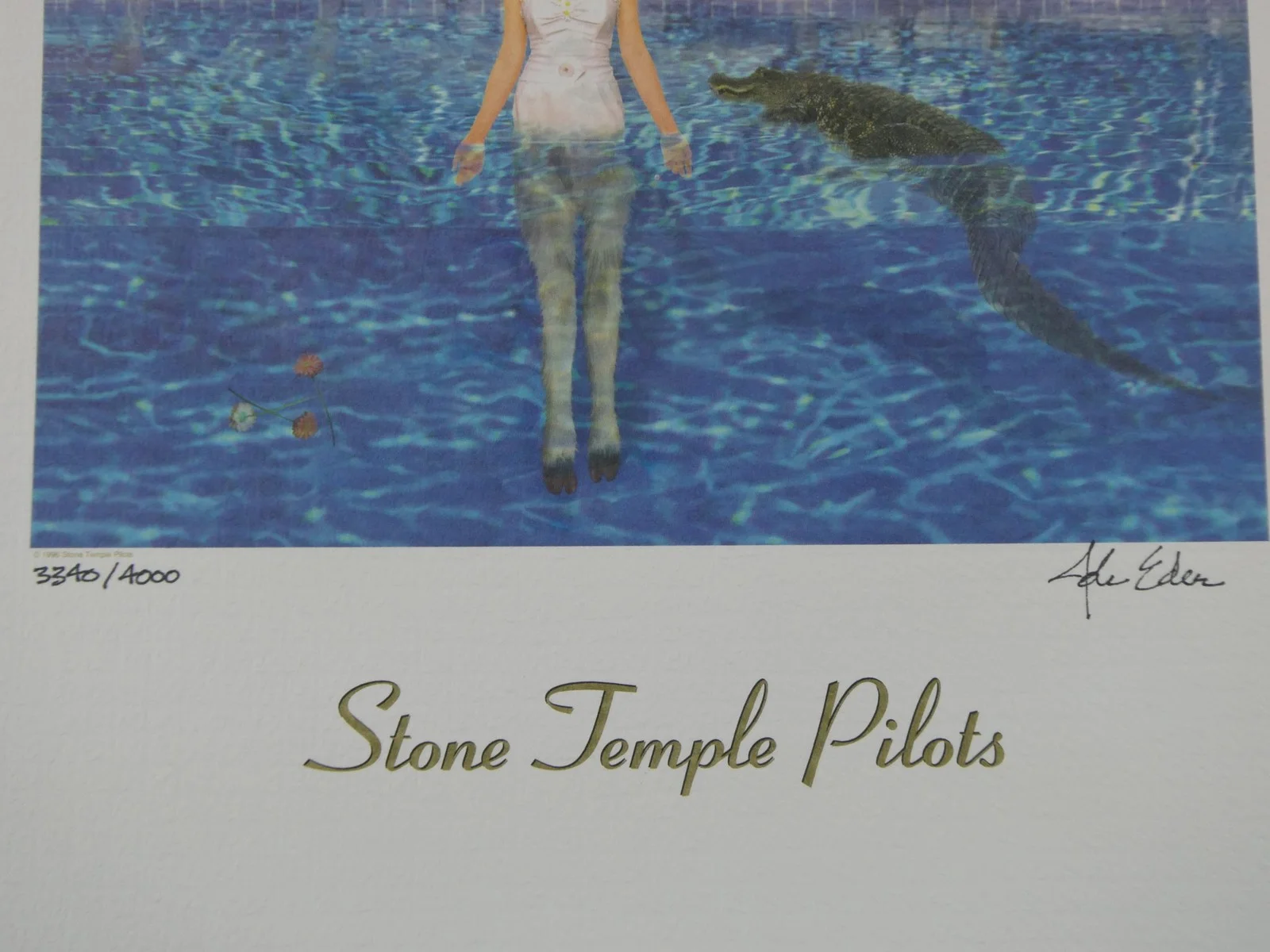 Stone Temple Pilots Tiny Music Lithograph 12"x14" Ltd 3340/4000 John Eder Signed, image 3