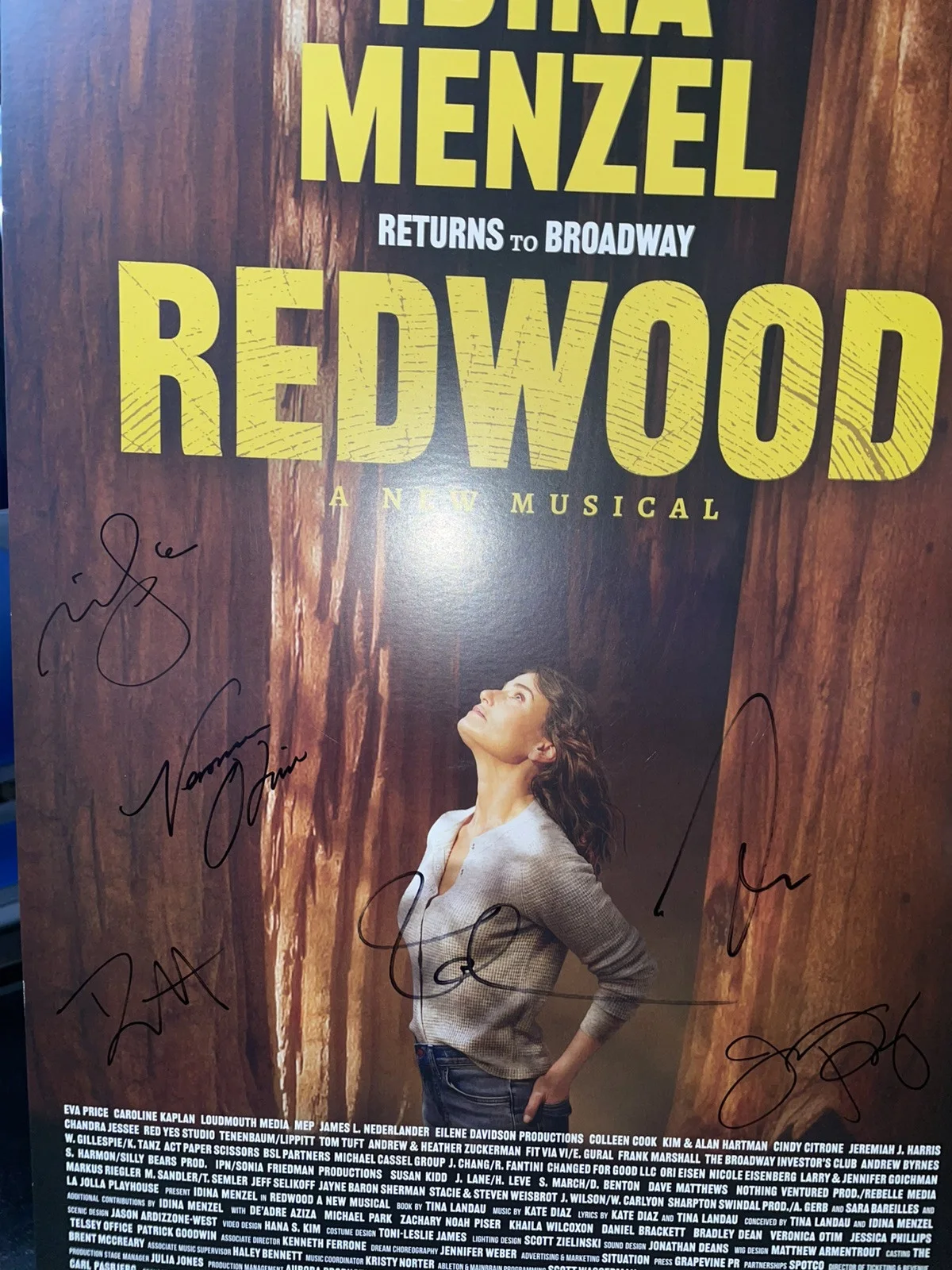 SALE! PROOF Idina Menzel Cast Signed X6 Redwood Broadway Poster Wicked Rent, изображение 2
