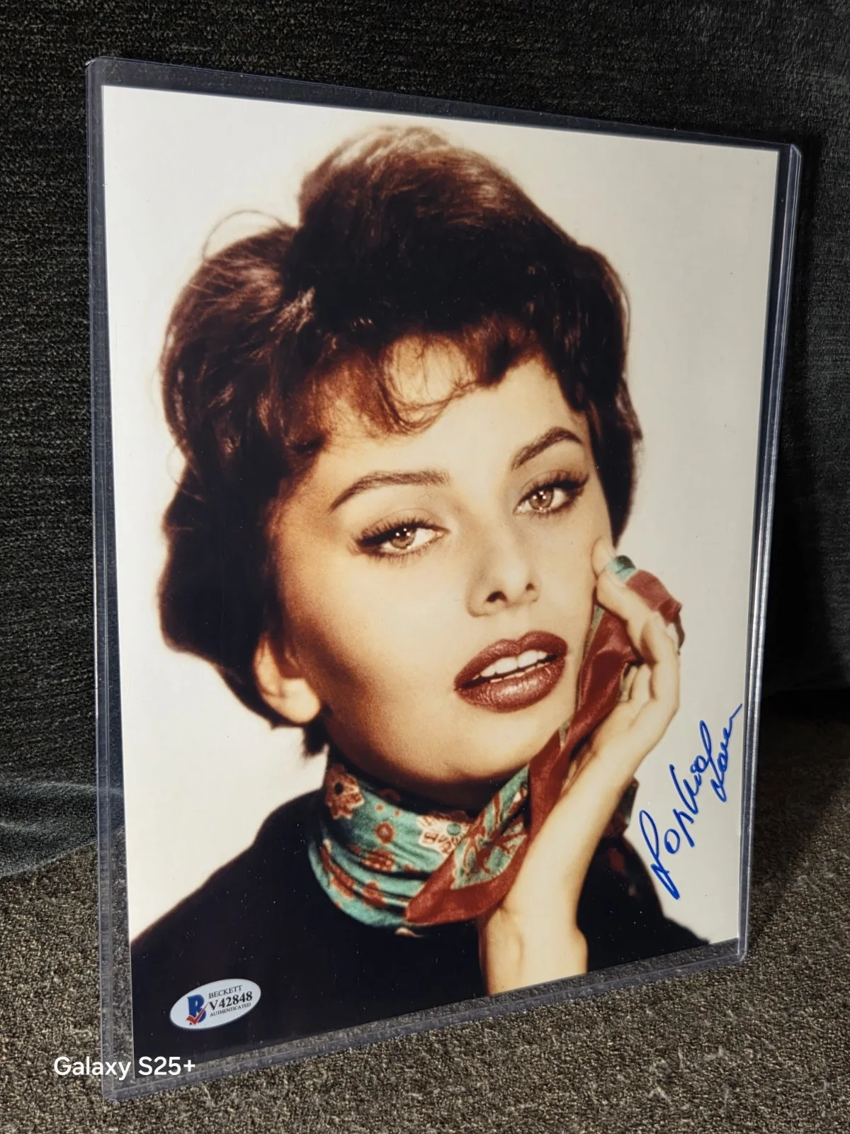 Sofia Loren — Sofia Loren Signed 8x10 Photo Beckett Bas Toploader Hollywood Legend Star, image 2