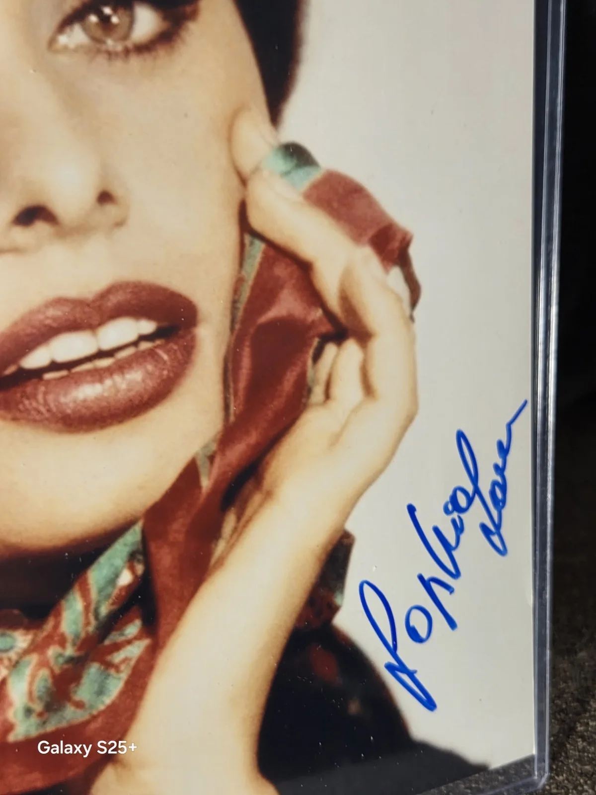Sofia Loren — Sofia Loren Signed 8x10 Photo Beckett Bas Toploader Hollywood Legend Star, image 3
