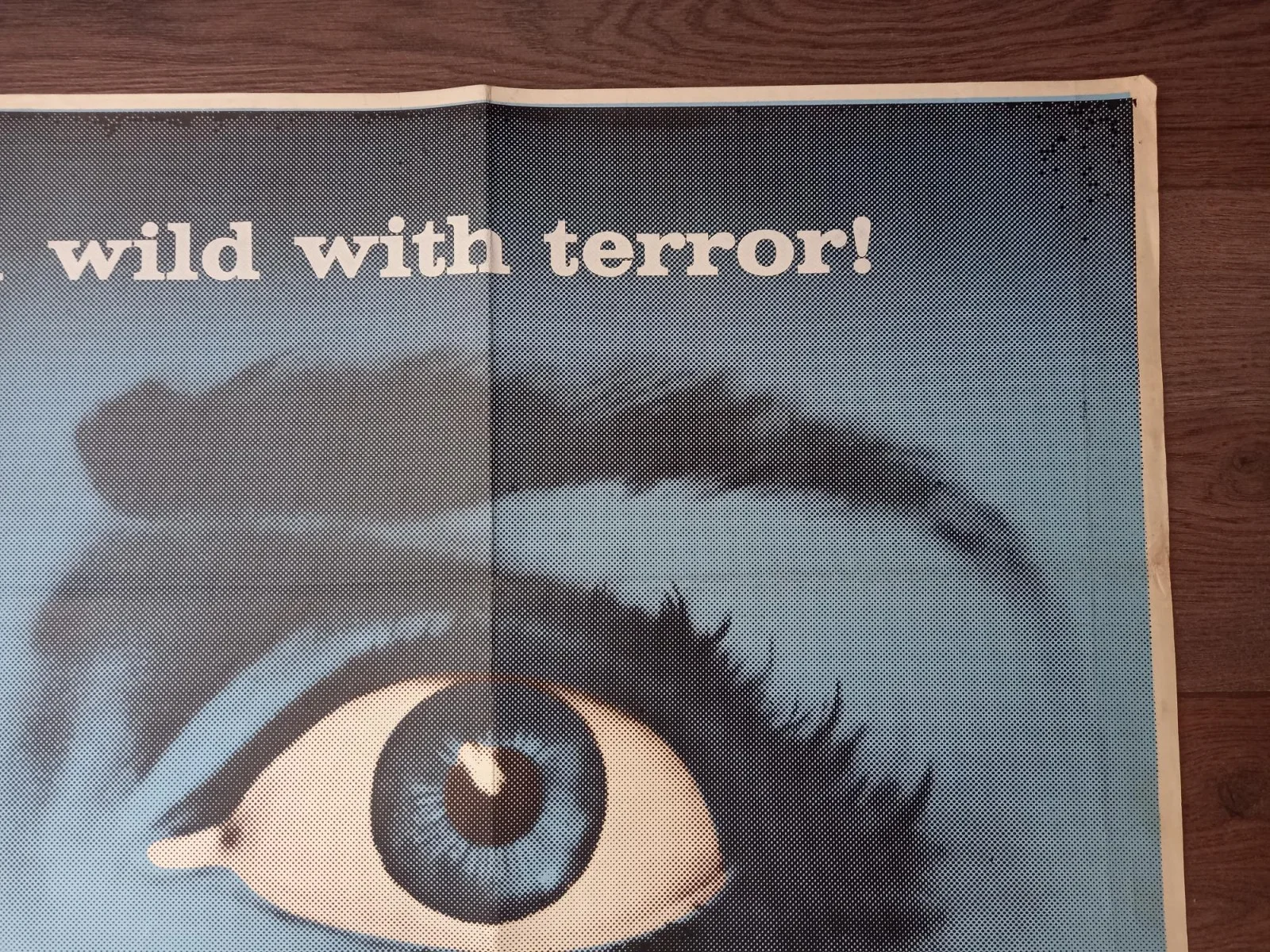 CITY OF FEAR 1959 BRITISH QUAD POSTER VINCE EDWARDS LYLE TALBOT JOHN ARCHER, изображение 5