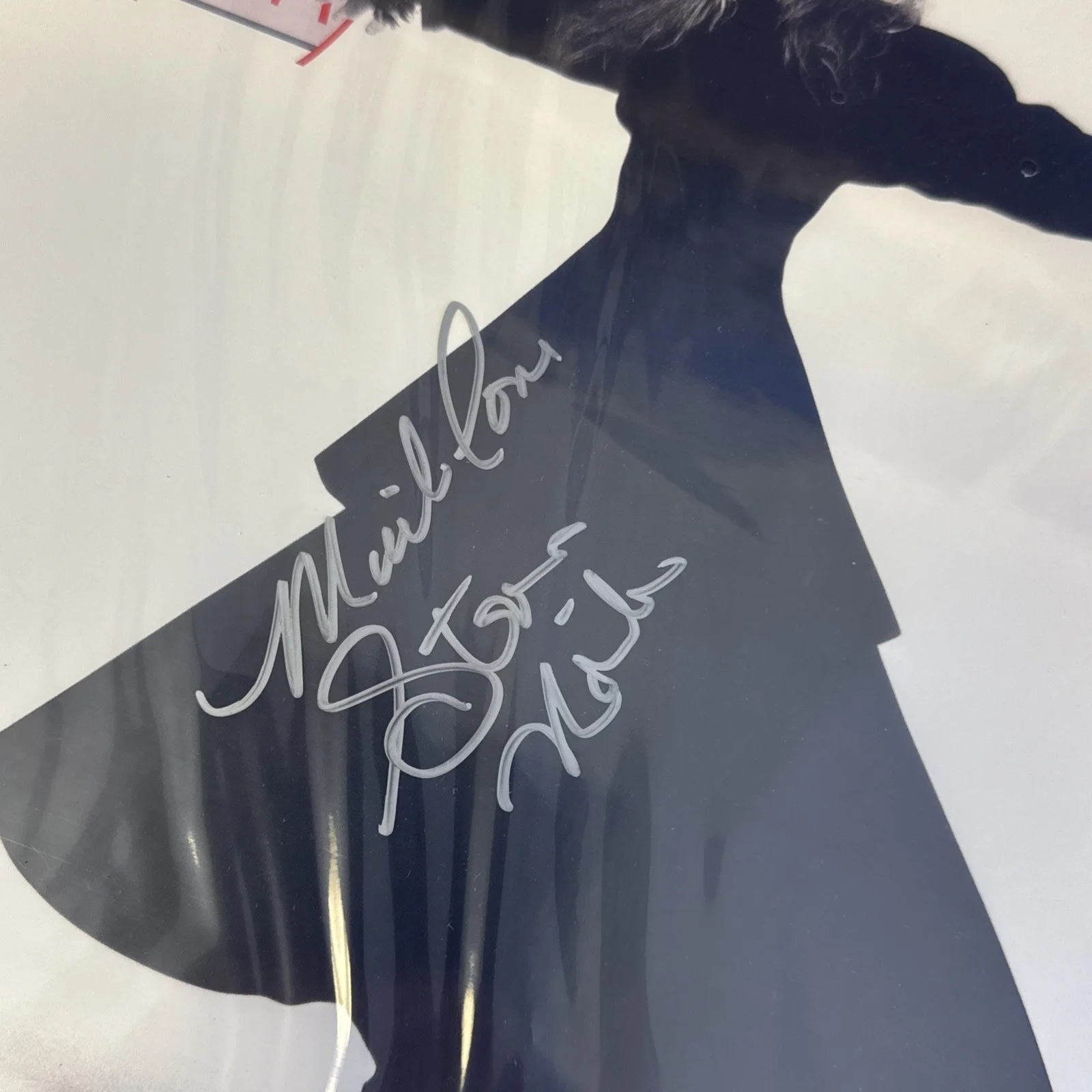 Stevie Nicks Rock A Little Autographed Vinyl LP With COA Extremely Rare, изображение 2
