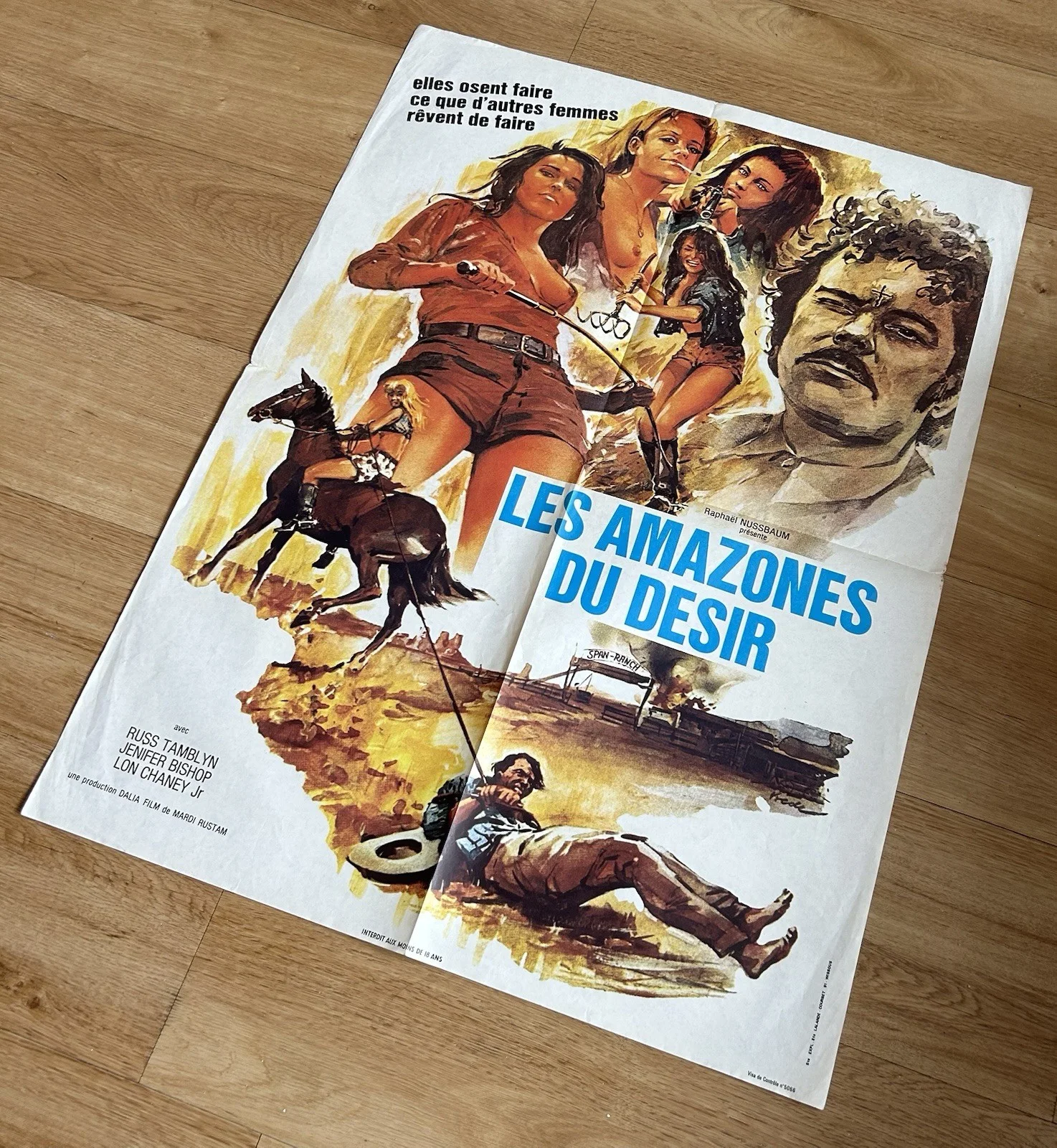 LES AMAZONES DU DÉSIR VINTAGE FRENCH MOVIE POSTER - 60x79cm 1971, изображение 2