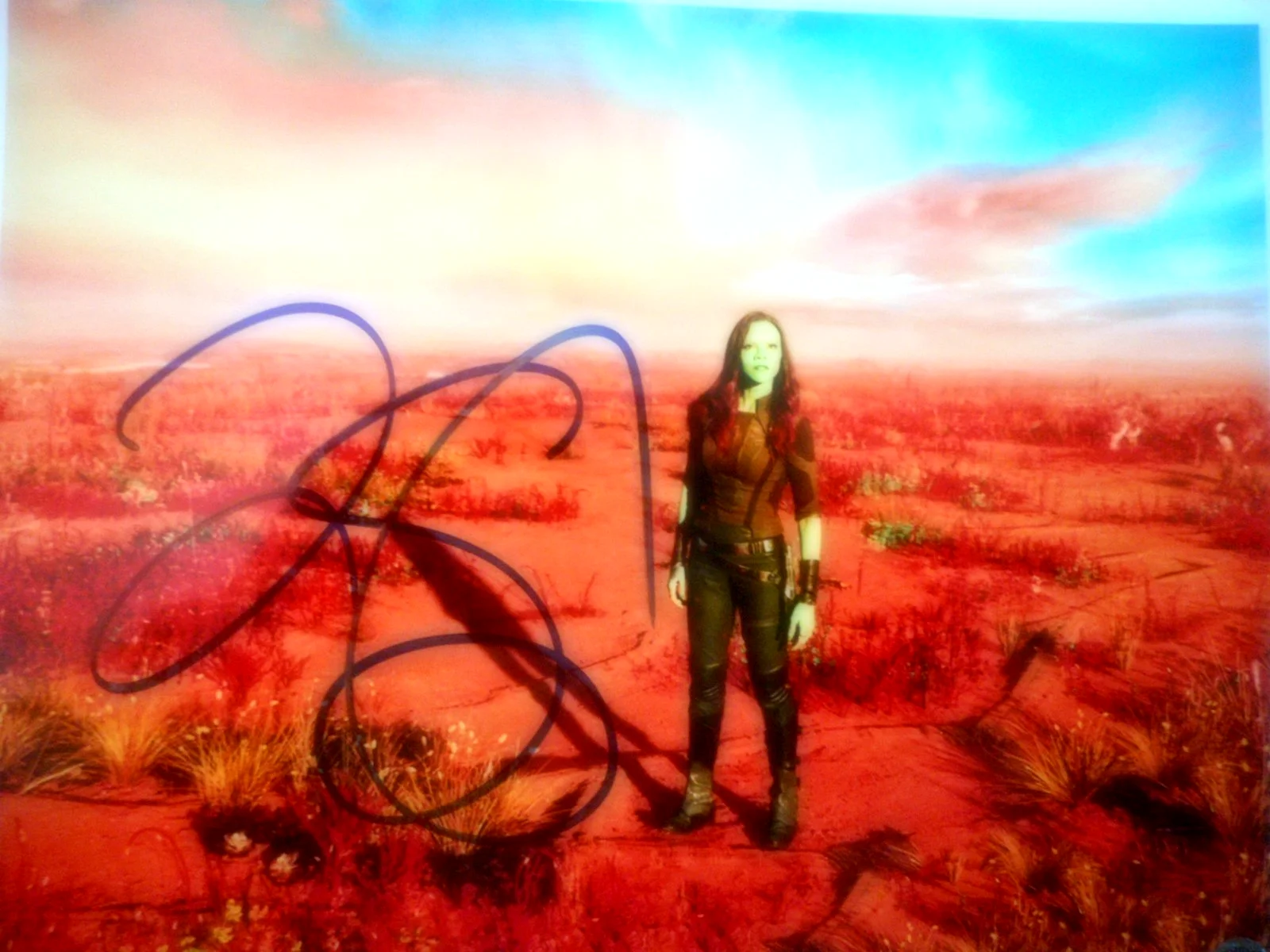 Zoe Saldana — Zoe Saldana signed GUARDIANS of the GALAXY Vol 2 Gamora 8x10 Photo COA # Holo