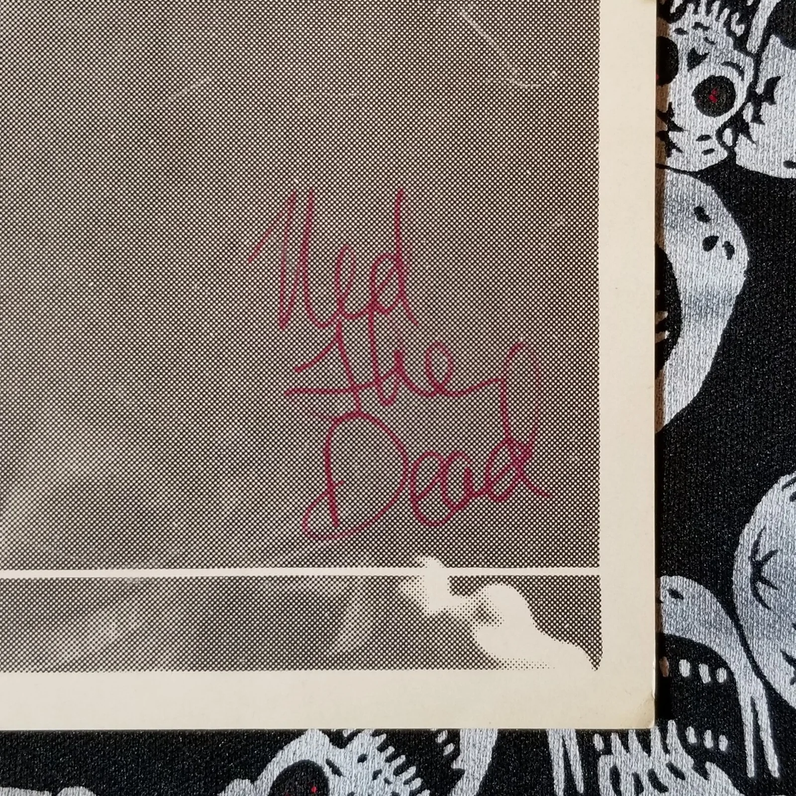 Ned The Dead — Ned The Dead Chiller Theatre TV Horror Host 80s Photo Greenbay WI WLUK 11 WACY, изображение 2