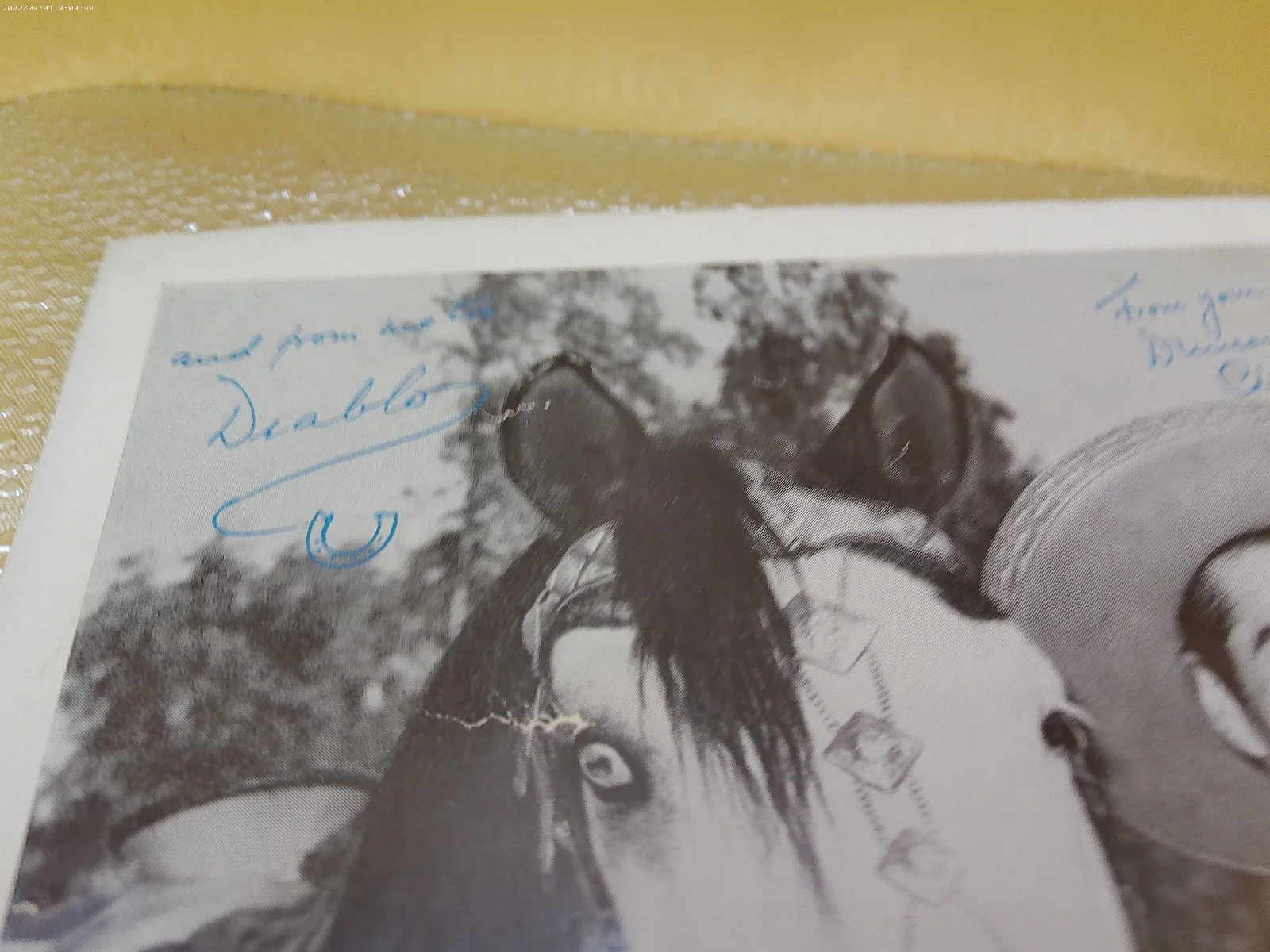 Cisco Kid Diablo Western star TV Duncan Renaldo hand signed autograph photo, изображение 3