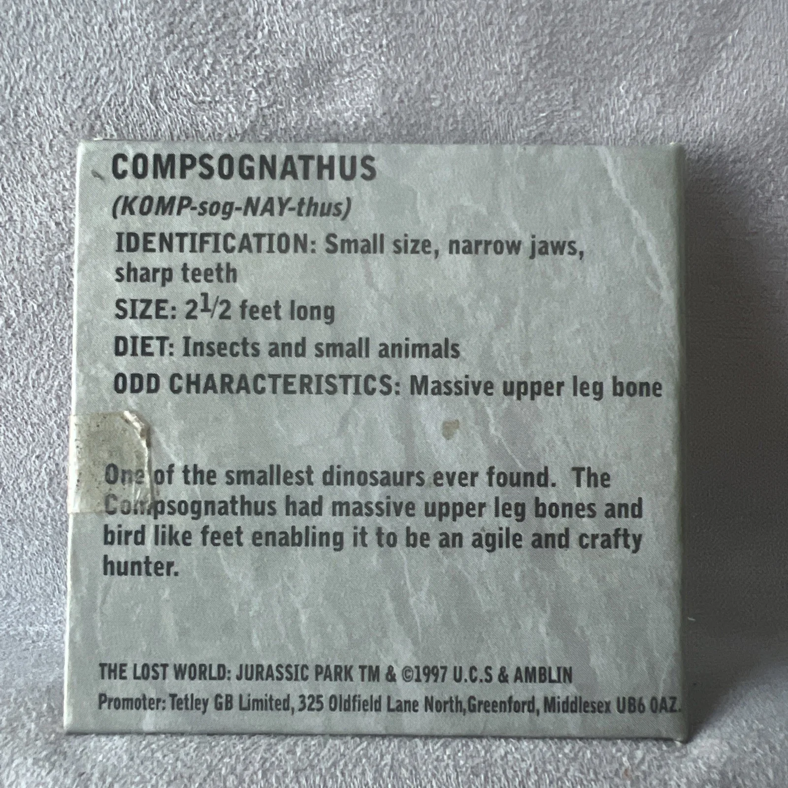 1997 Tetley Tea Promotional Bronze Coin: No. 6 Compsognathus Dinosaur, image 2