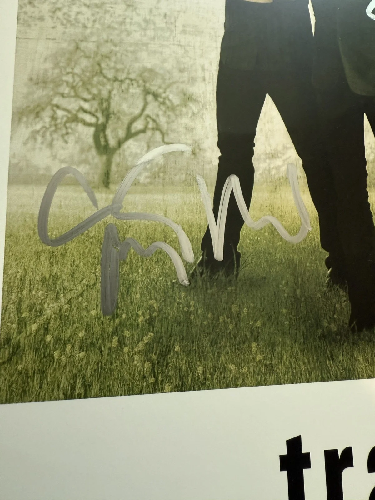 Members of the group Train — Autographed 8 x 10 Poster by Train hand-signed by the band members, image 3