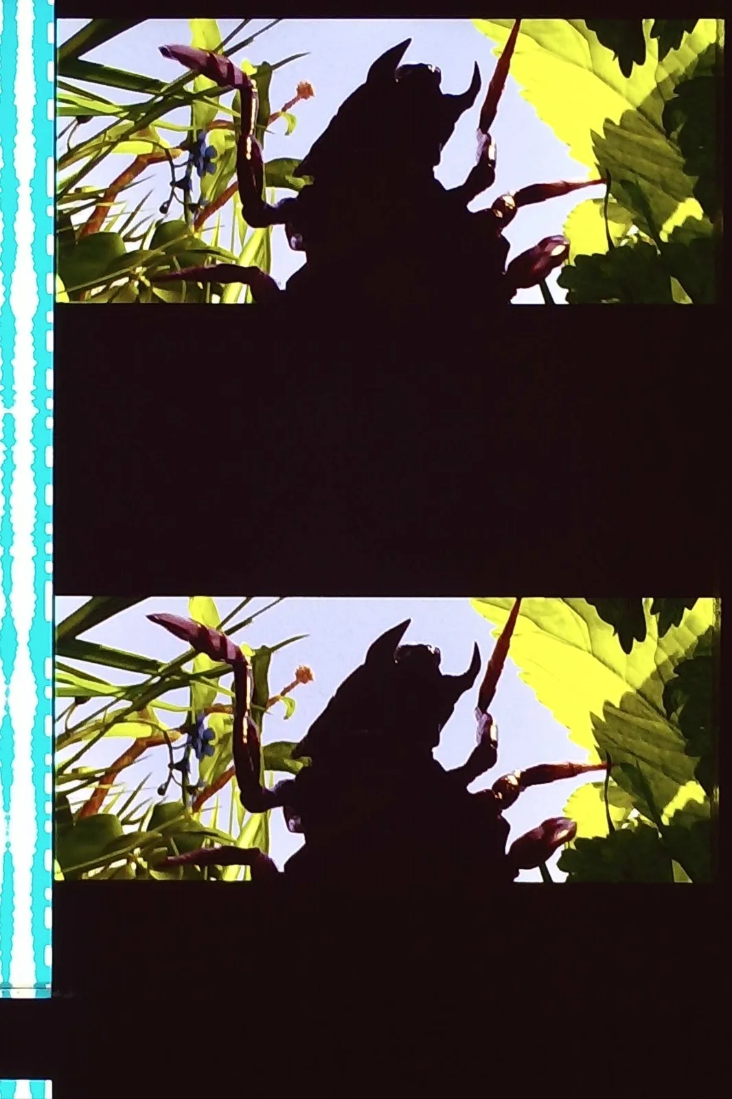 Arthur And The Invisibles Film Cells Strips - 5 Strips of 5 Cells FREE P&P, изображение 4