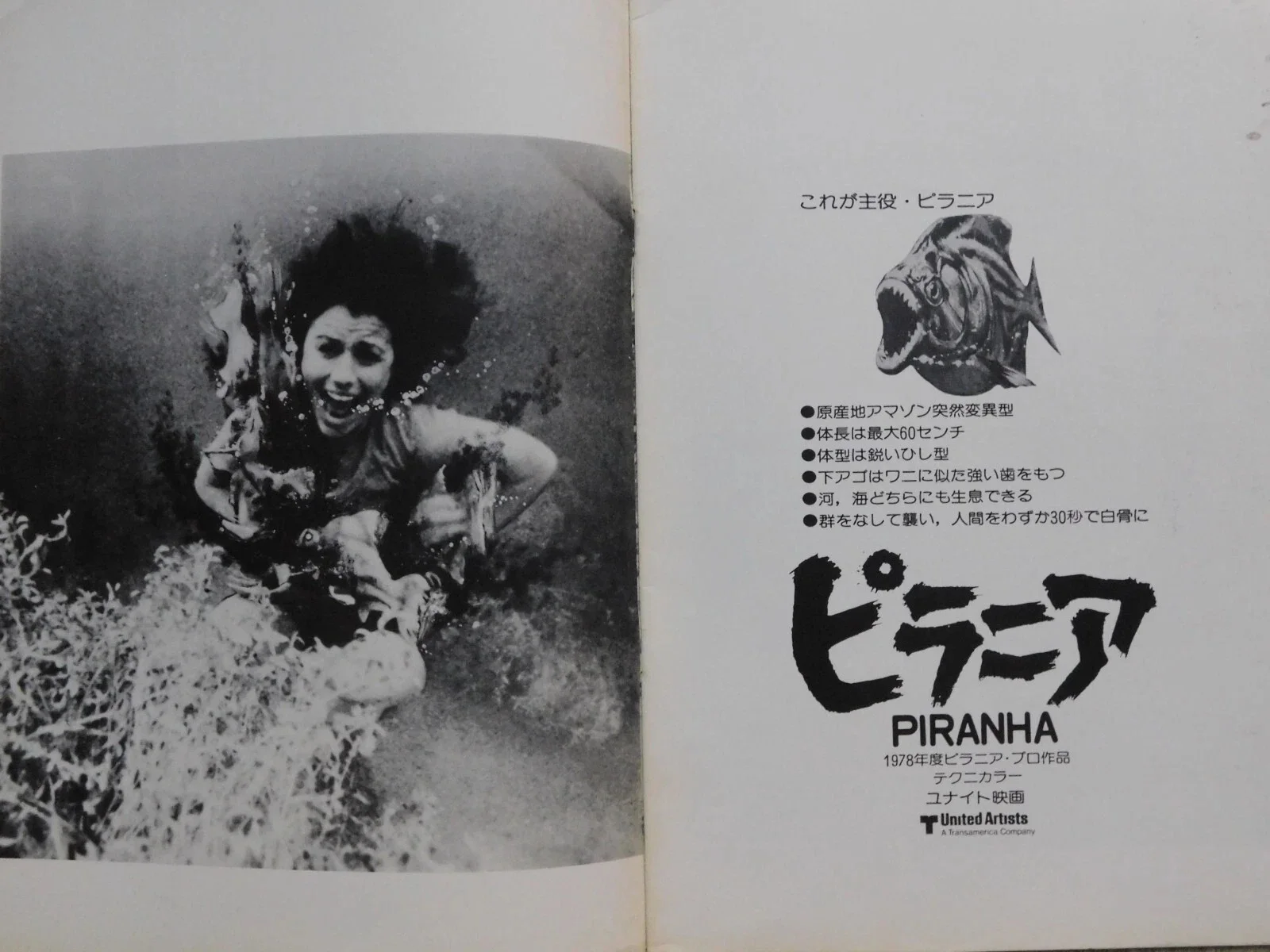 Piranha Japan Movie Program 1978 Bradford Dillman Joe Dante Heather Menzies, изображение 3