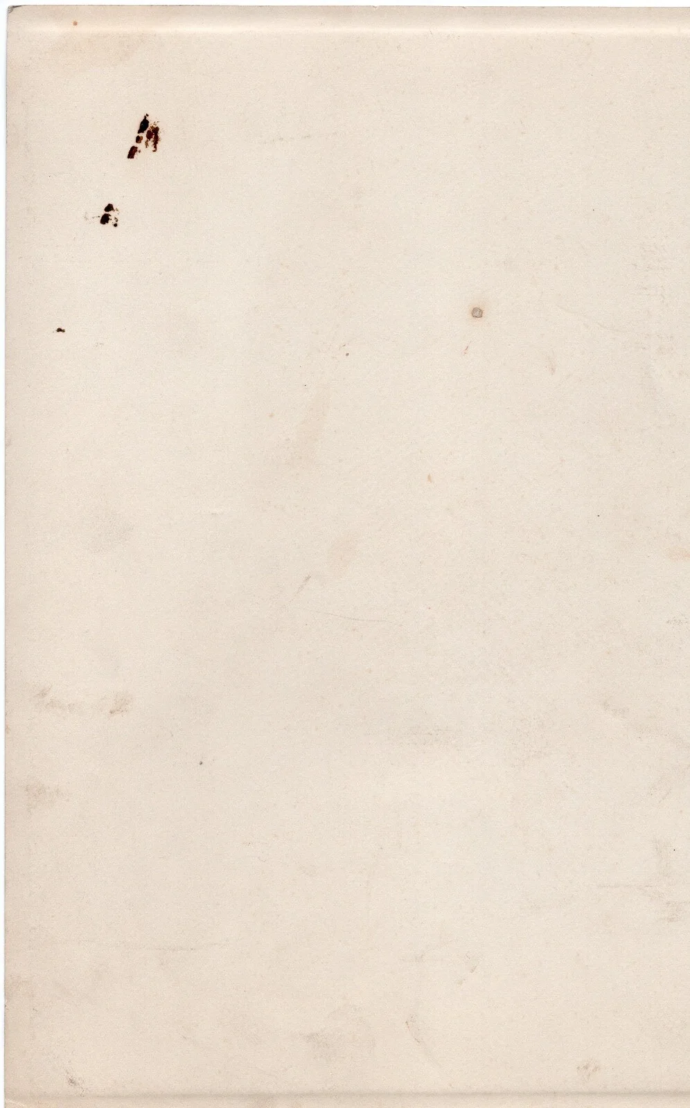 Kathryn — Kathryn Autograph Photo 1920's Vintage Photograph Flapper Silent Star Sepia Tone, изображение 2