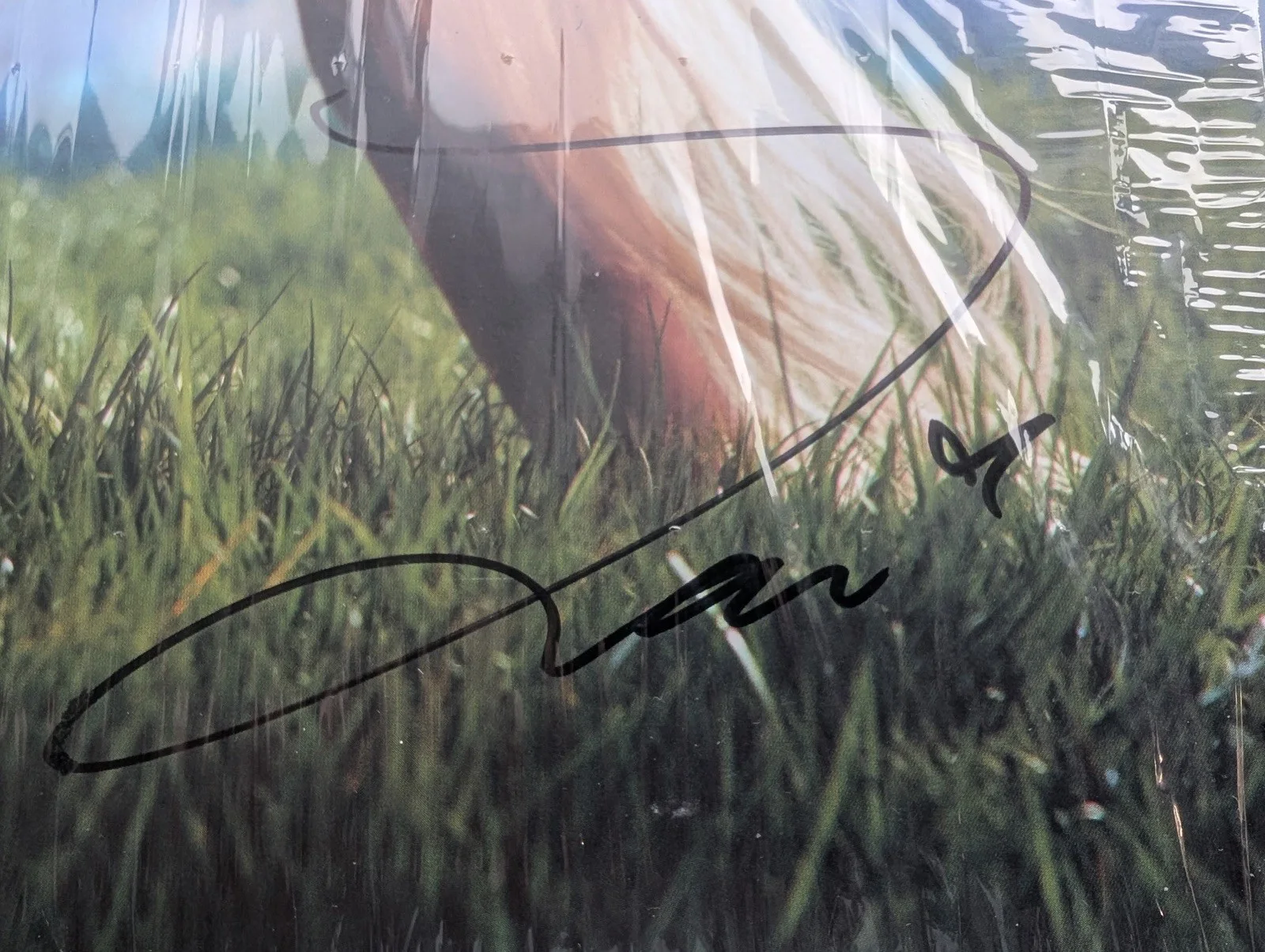 Zara Larsson Signed Vinyl Record Midnight Sun Autographed Urban Outfitters, изображение 4