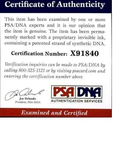 Behati Prinsloo — Behati Prinsloo authentic signed 10x15 photo W/ PSA Certificate Autographed Q1, image 2