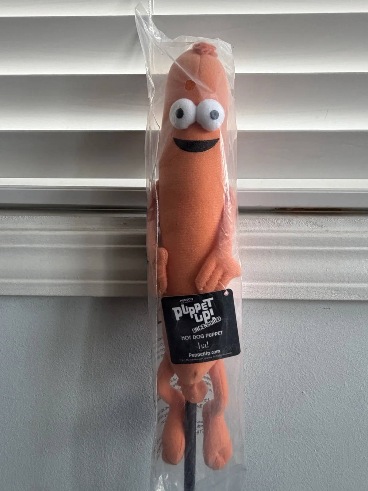 Brian Henson — THE MUPPETS HOT DOG PUPPET PUPPET UP! AUTOGRAPHED SIGNED BY BRIAN HENSON JIM 🆕, изображение 3