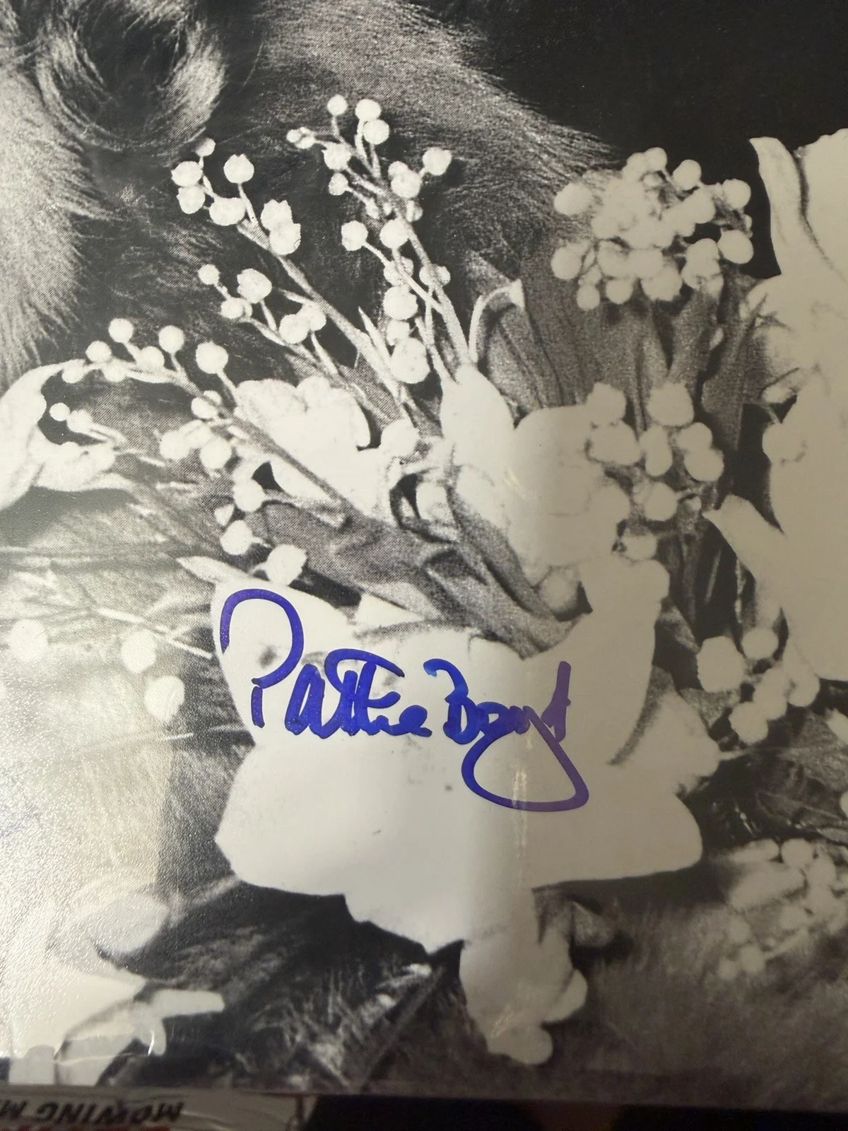Pattie Boyd — RARE!! Pattie Boyd Signed Black & White 11*14 Photo w George Harrison JSA READ!!, image 2