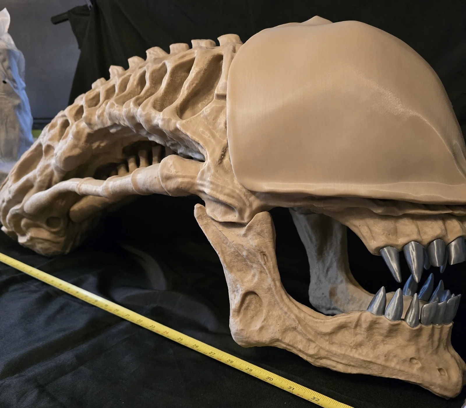 Alien Xenomorph Skull Life-size, massive fan art replica, image 3