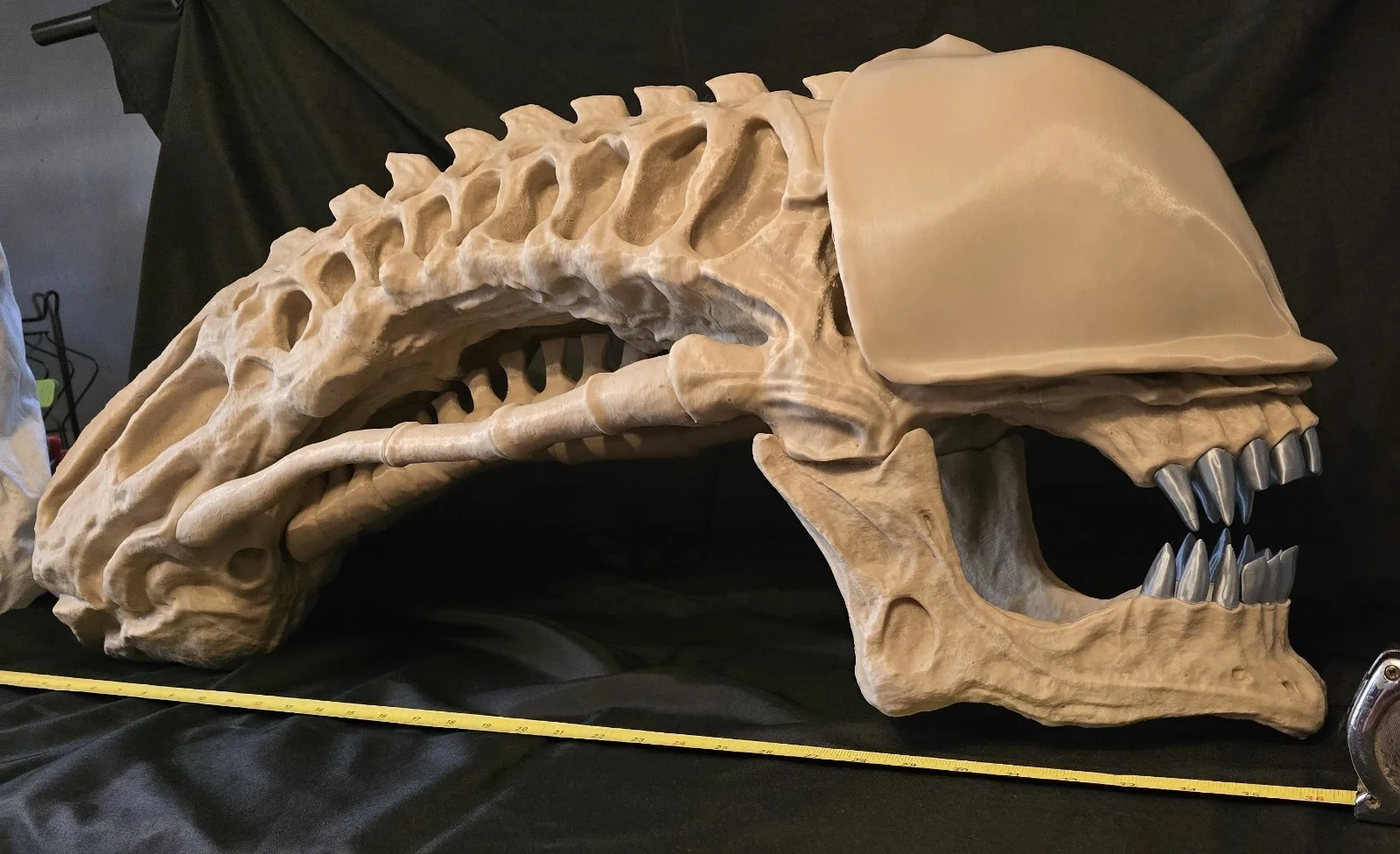 Alien Xenomorph Skull Life-size, massive fan art replica, image 4