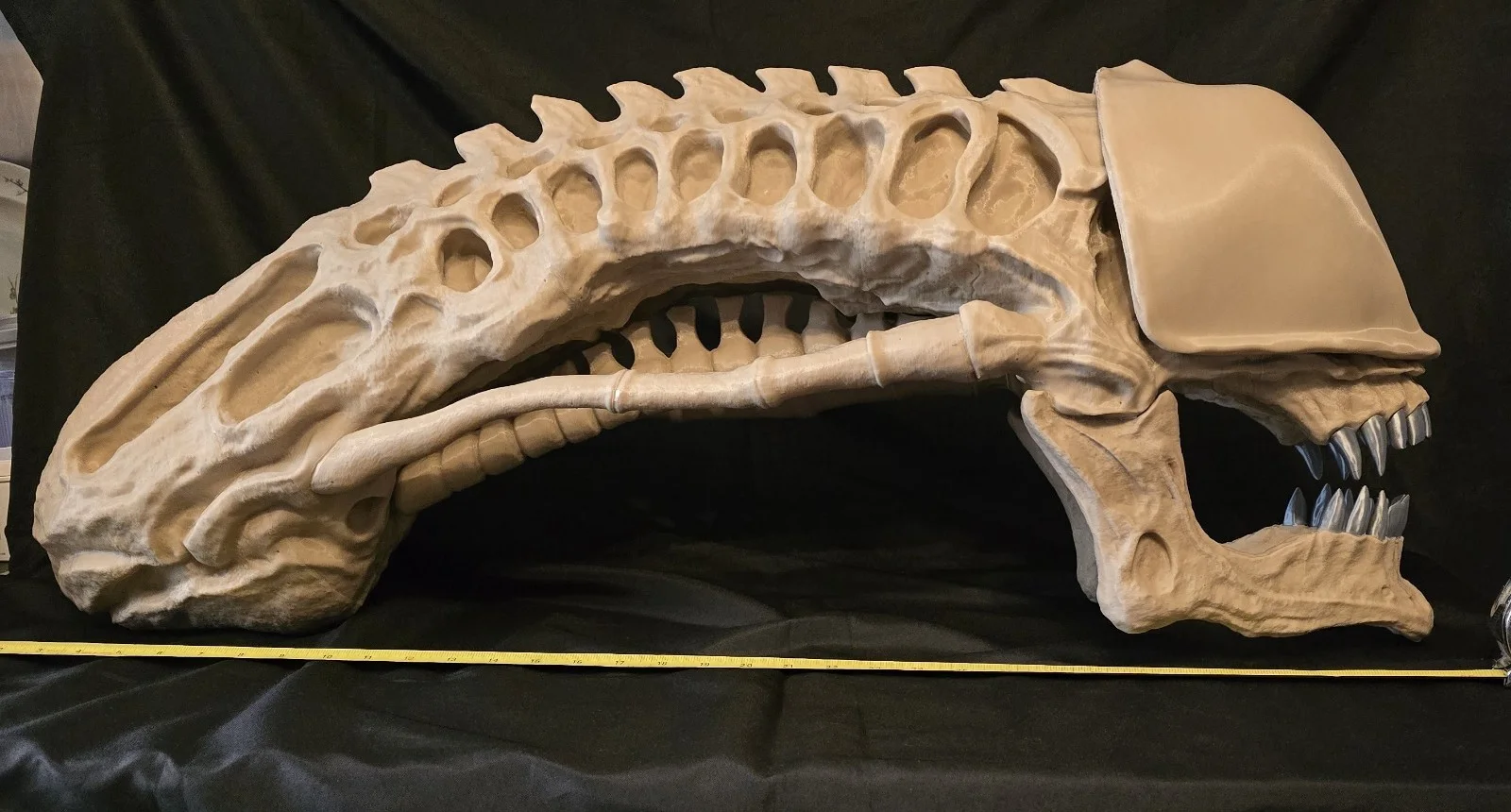 Alien Xenomorph Skull Life-size, massive fan art replica, image 5