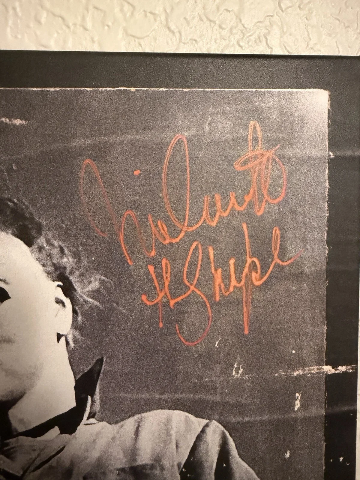 John Carpenter — Halloween John Carpenter Nick Casle + 3 signed autograph Displate EPIC W PROOF, image 4