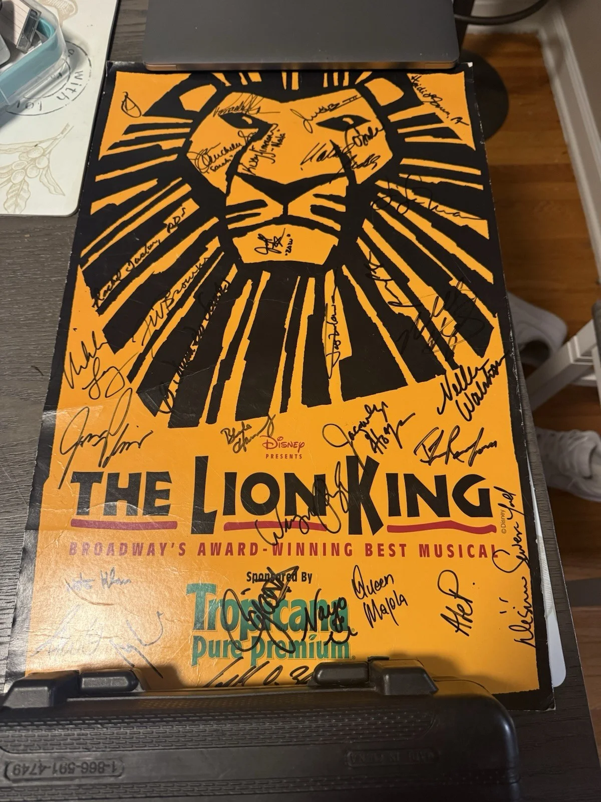 The Lion King Broadway Original Signed Poster Autographed Theater Memorabilia, изображение 5