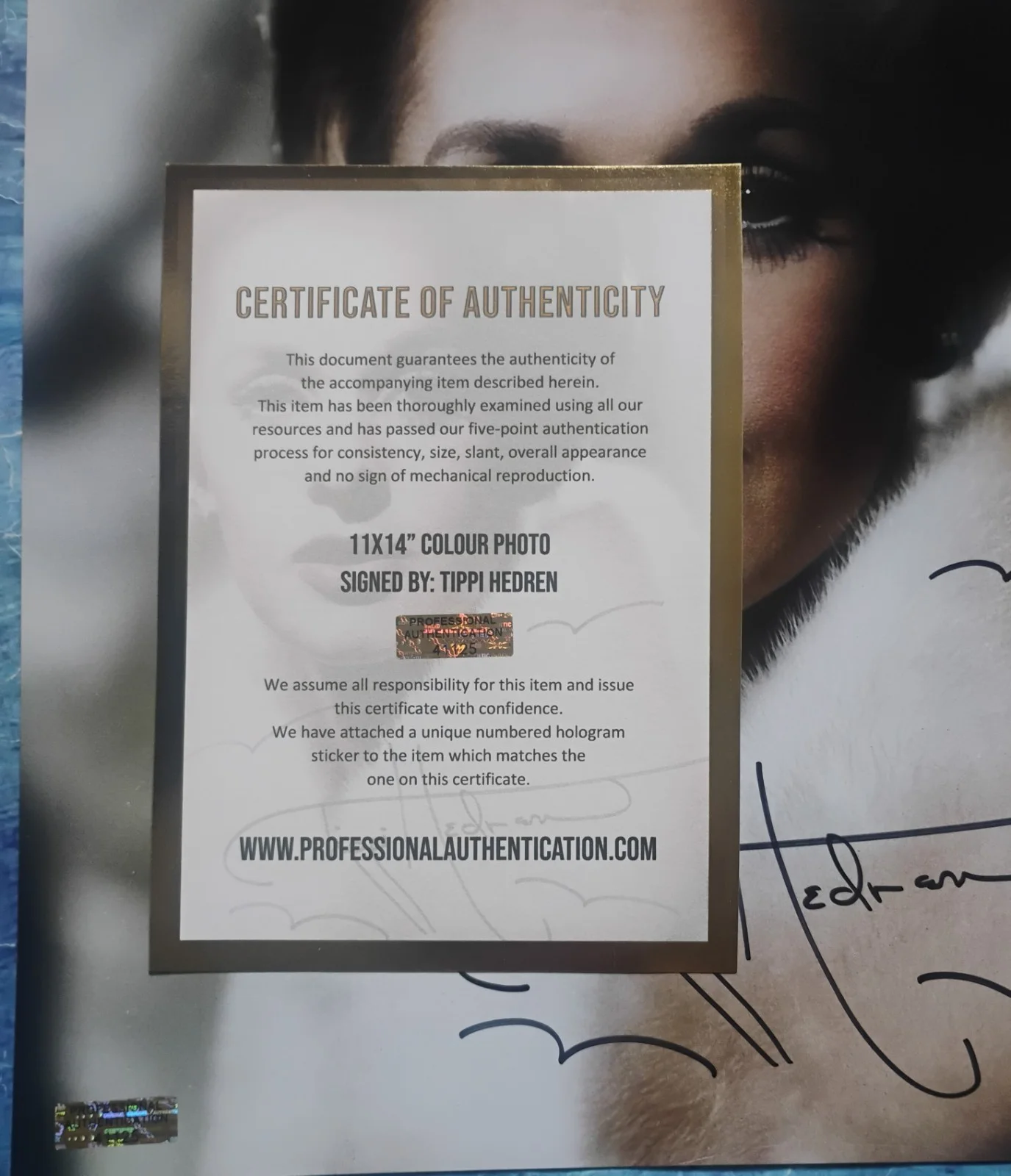 Tippi Hedren Hand Signed Autograph 11x14 Photo COA - NO US TARIFFS, image 4