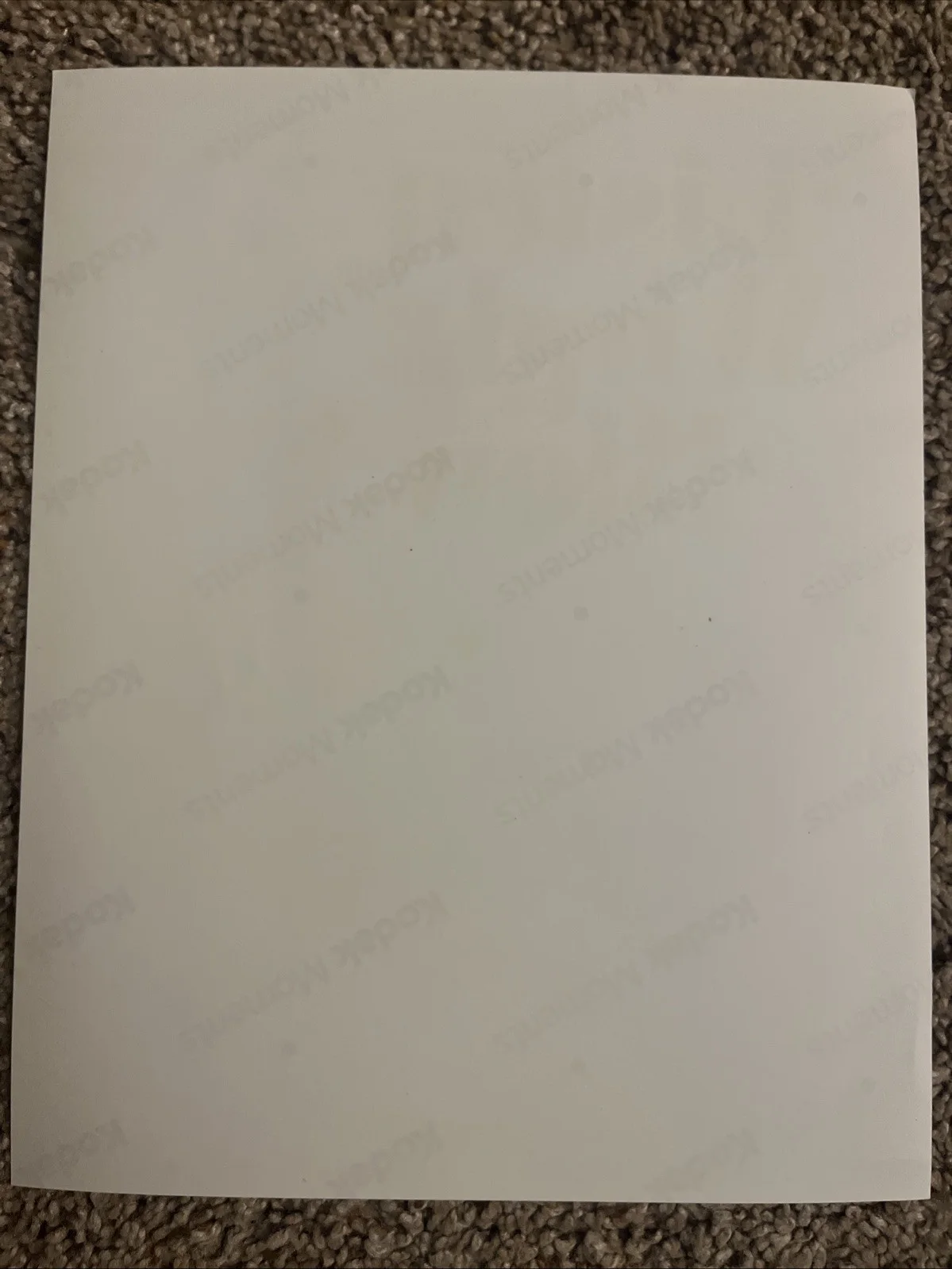 Listen to the Wind Blow Sheet SIGNED by Lindsey Buckingham / Fleetwood Mac, image 2