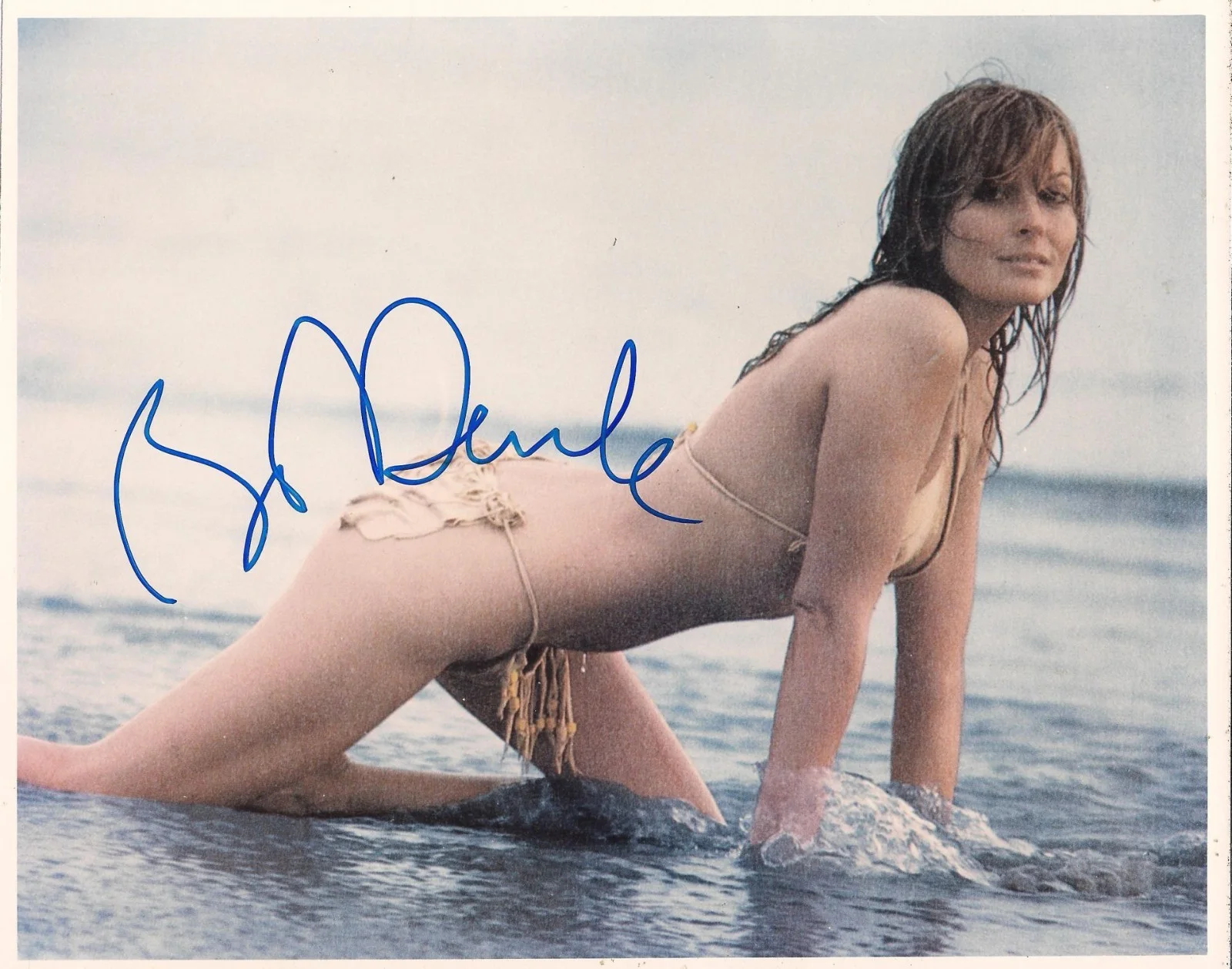 Bo Derek — BO DEREK autograph SIGNED 8X10 sexy "10" beach Photo authentic COA