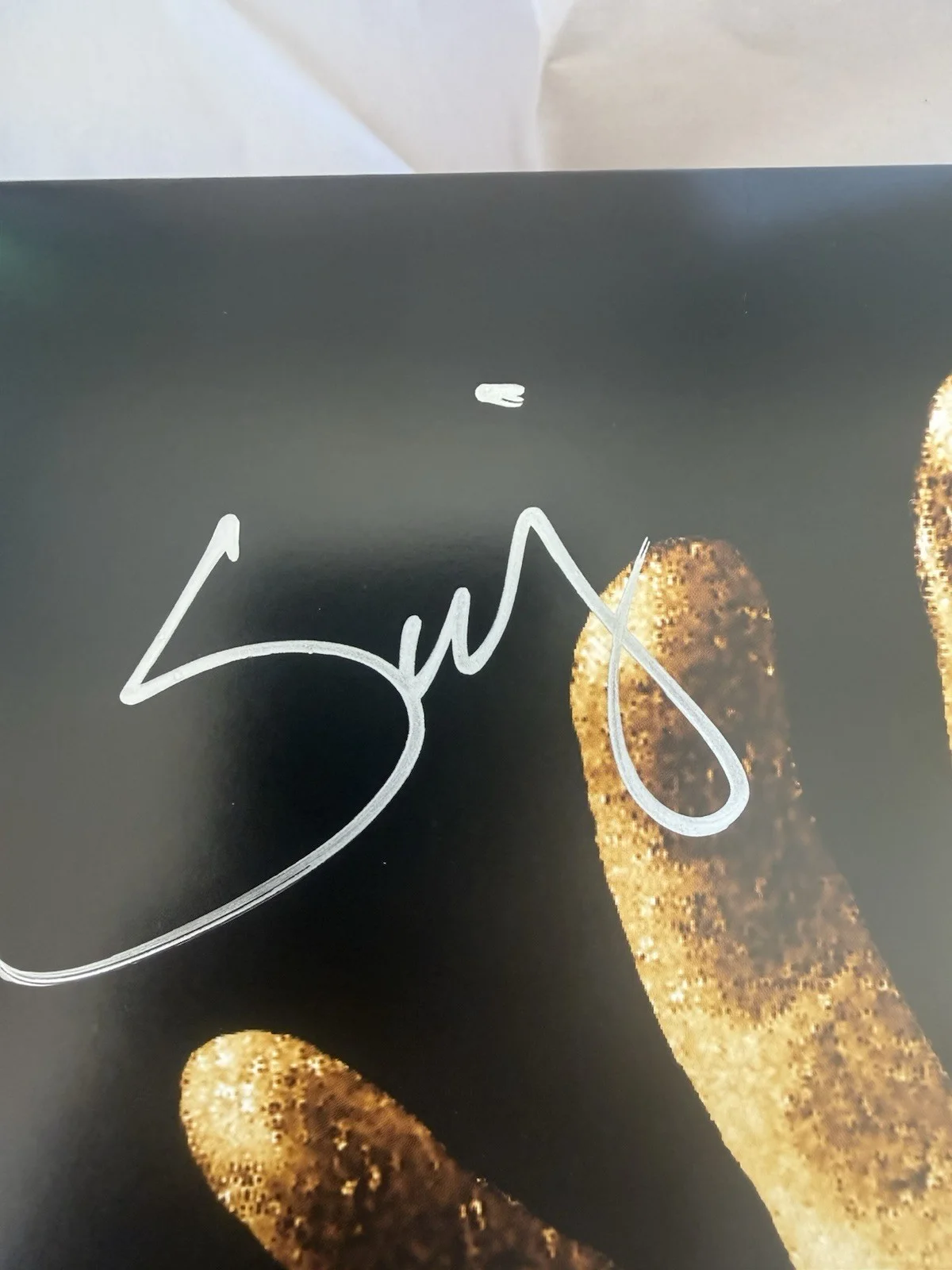 System of a Down Signed, Autographed, image 3
