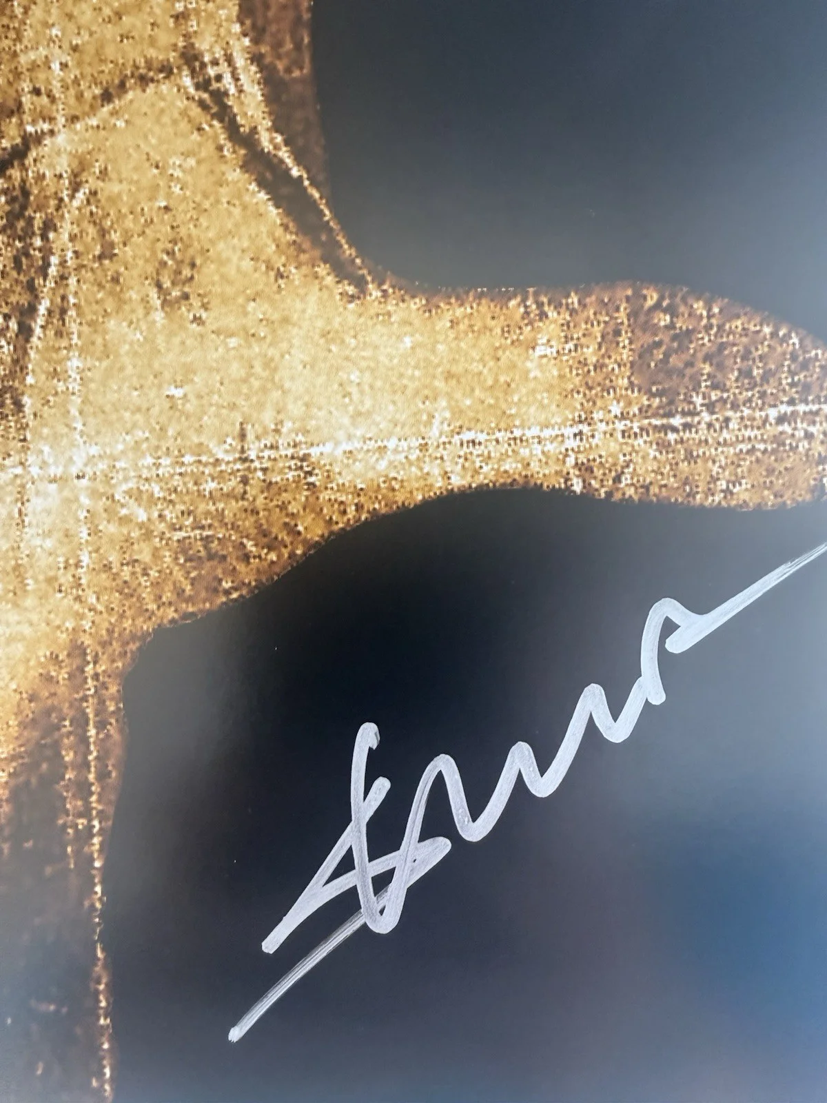 System of a Down Signed, Autographed, image 4