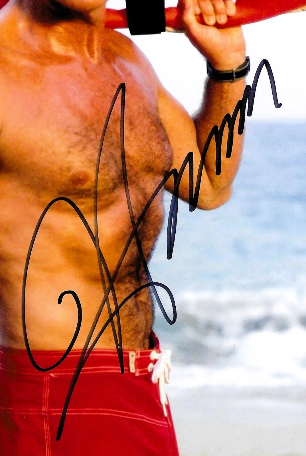 David Hasselhoff — DAVID HASSELHOFF signed BATWATCH with COA 8x10, image 2
