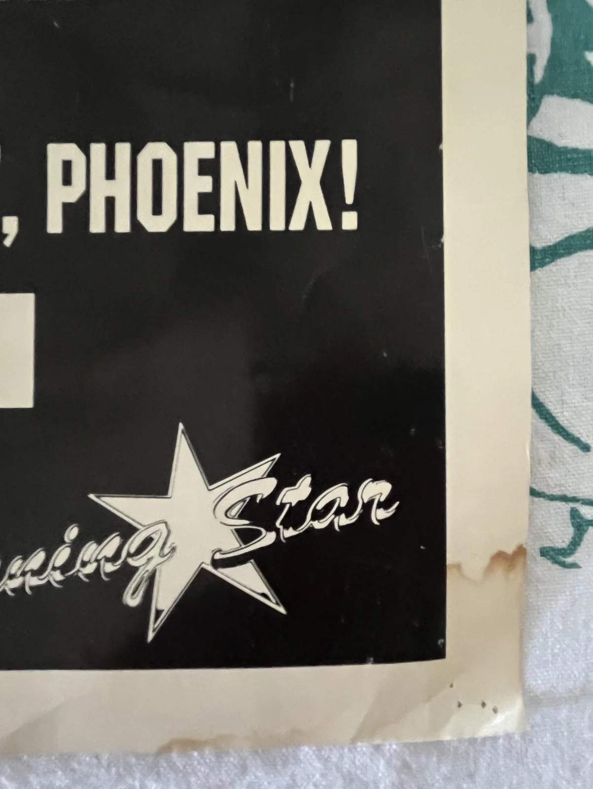 Signed KERRY KING 1995 Slayer Biohazard Machine Head Tour Phoenix Last Show Mesa, изображение 3