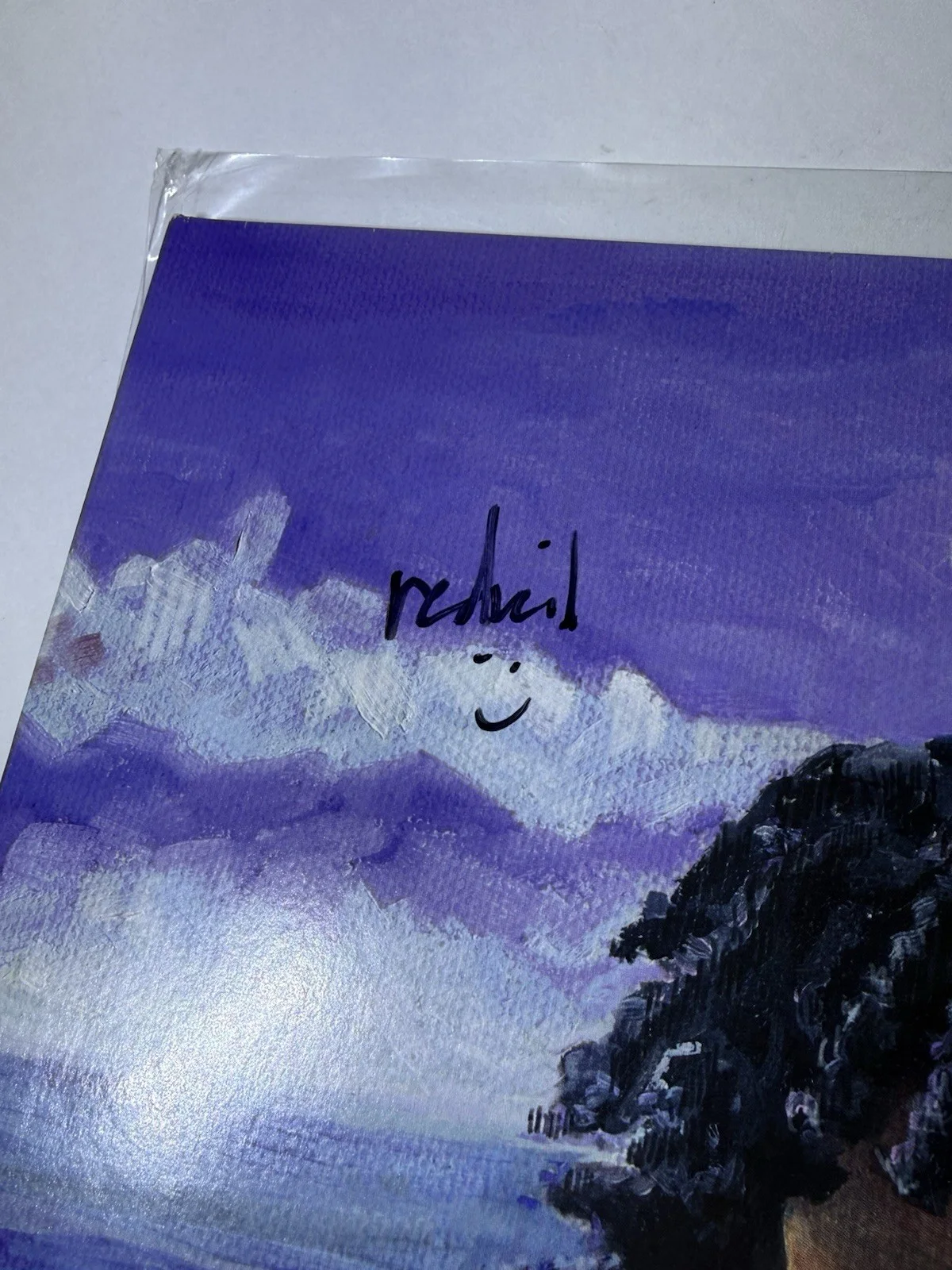*SIGNED* REDVEIL LEARN 2 SWIM ALBUM VINYL AUTOGRAPH Purple Colored Rare Pressing, изображение 3