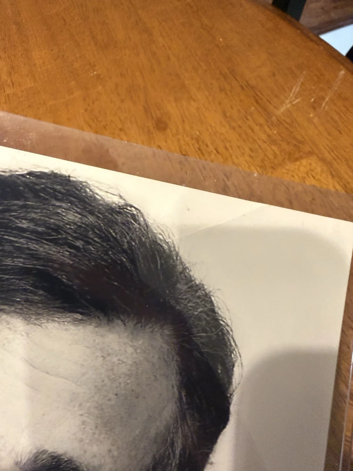 Bob Saget — BOB SAGET SIGNED 8X10 PHOTO CERTIFIED AUTHENTIC WITH JSA COA FULL HOUSE, изображение 4
