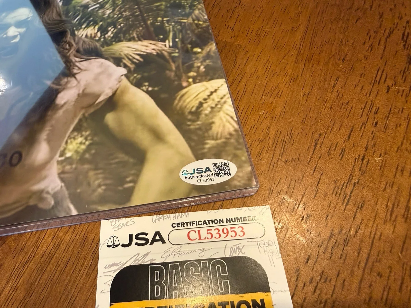 Tatiana Maslany — Tatiana Maslany Authentic Signed Color 8x10 Marvel MCU Photo She Hulk JSA COA, изображение 2