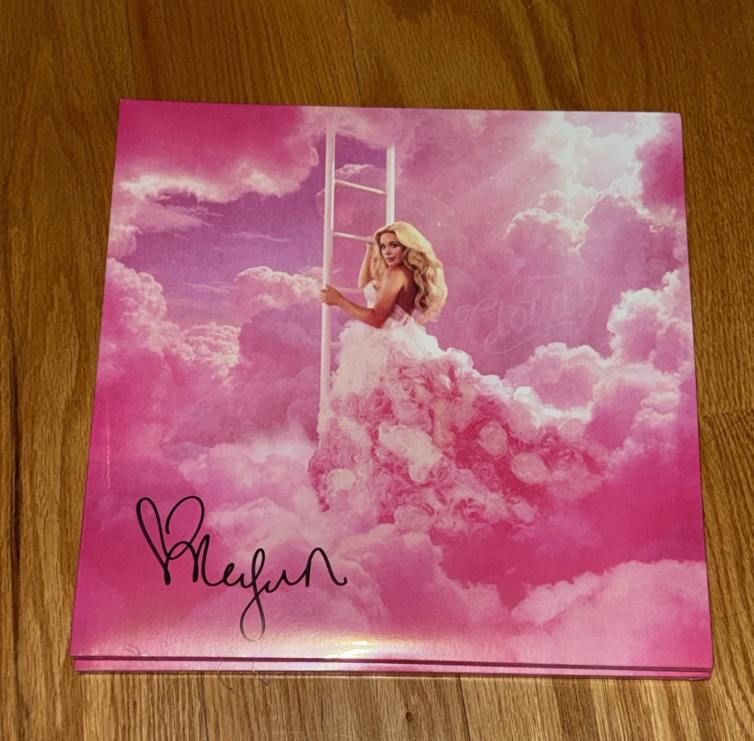 SIGNED MEGAN MORONEY Cloud 9: Megan's LIMITED EDITION Pink Signed Vinyl LP, изображение 2