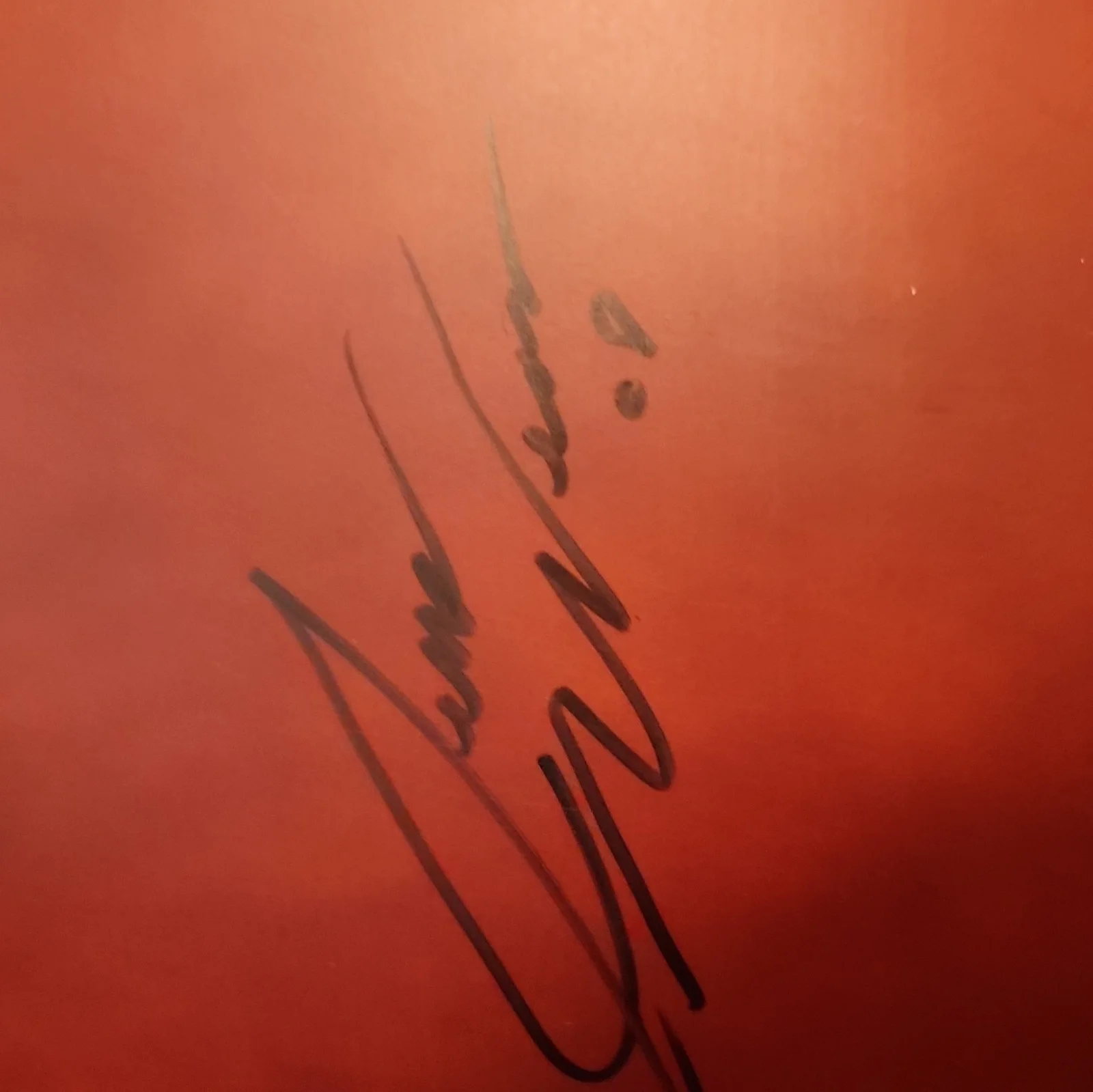 Autographed Acoustic Guitar Multiple Signatures Black Sunburst, image 2