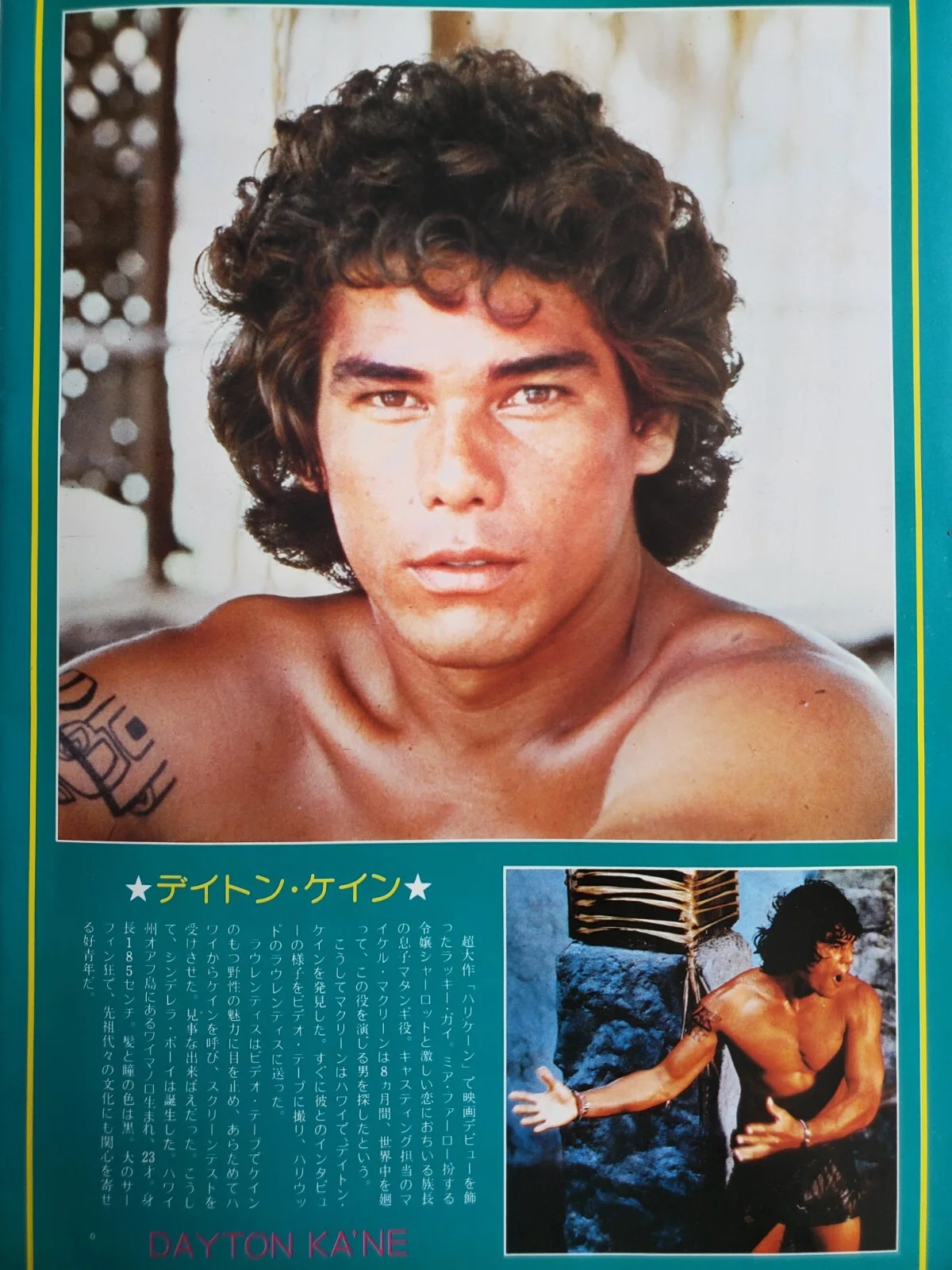 HURRICANE - VINTAGE ORIGINAL 1979 SOUVENIR BROCHURE - MIA FARROW - JAPAN, изображение 4