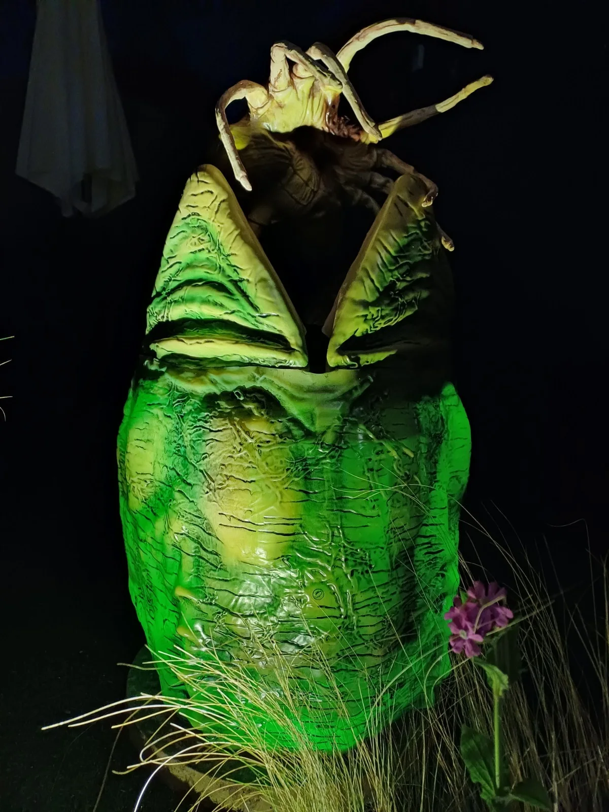 Alien Xenomorph Motion Activated Full Size Egg Rare LE Movie Prop + Facehugger, изображение 5