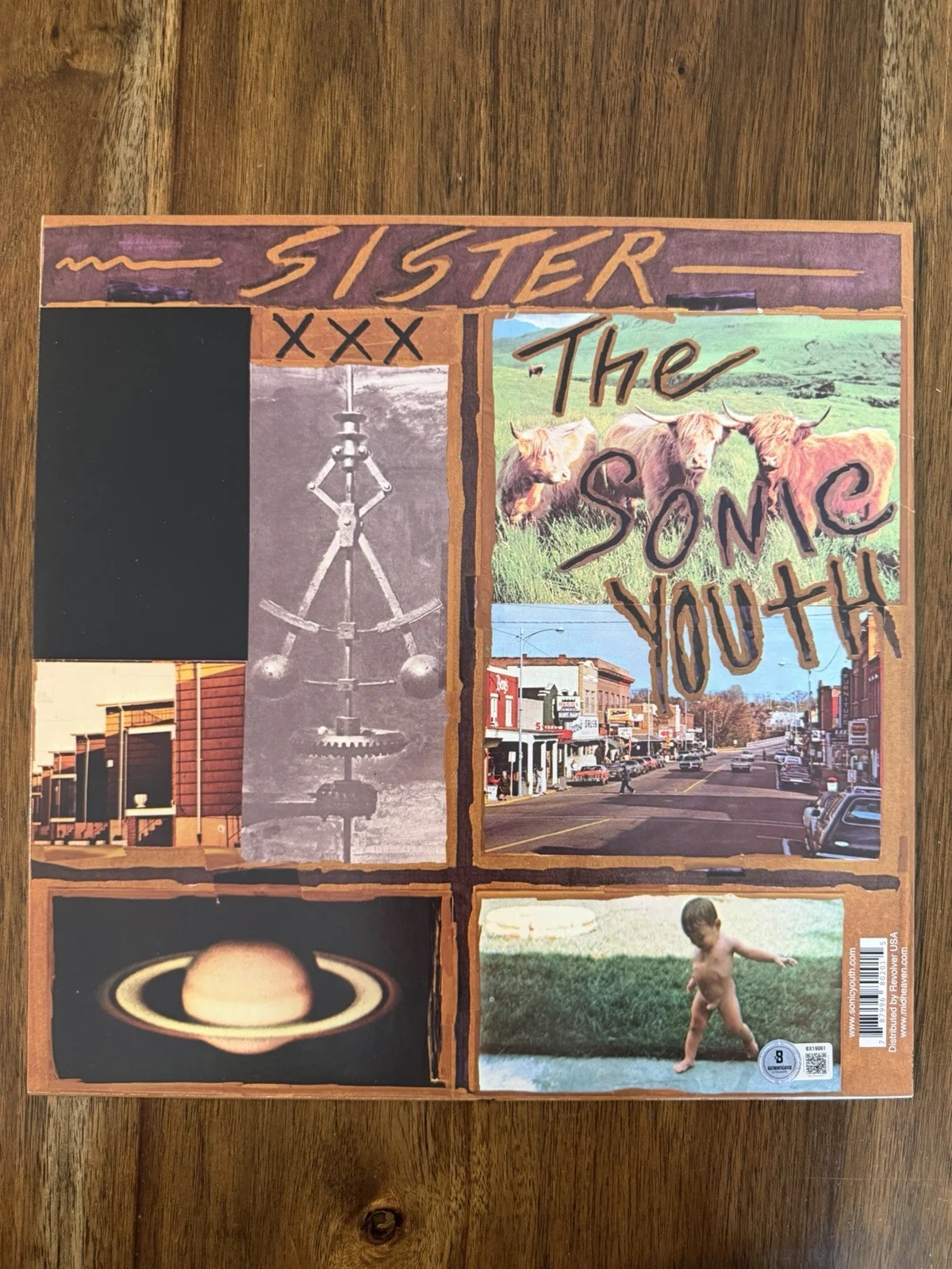 Kim Gordon ‘Sonic Youth’ Signed Vinyl Album ‘Sister’ Beckett, изображение 2