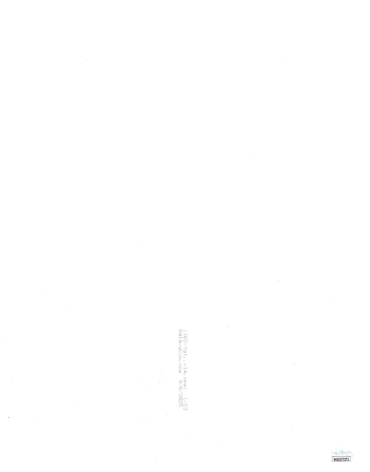 Anne Yatco — Anne Yatco Jujutsu Kaisen 11x14 Photo Poster JSA Certified Autograph, изображение 2