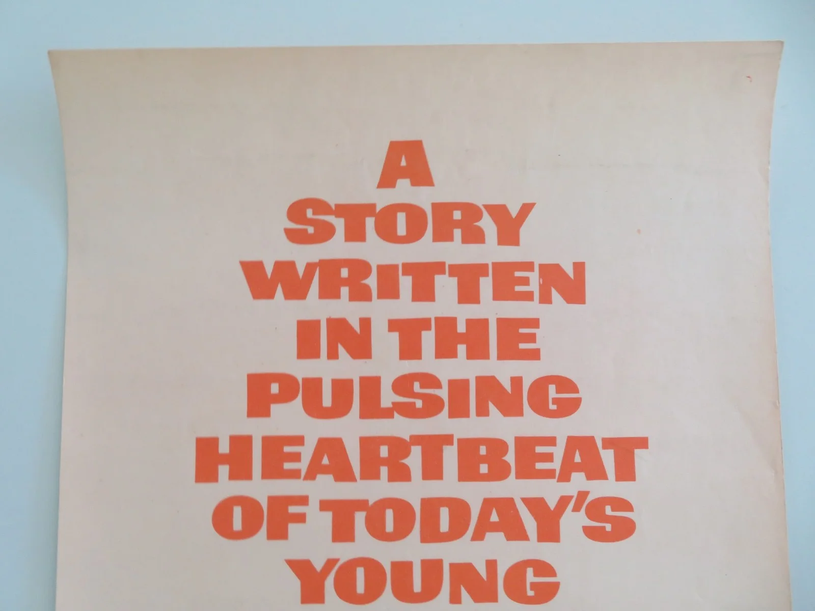 Wild Seed US Insert Poster Michael Parks Celia Kaye 1965, image 2