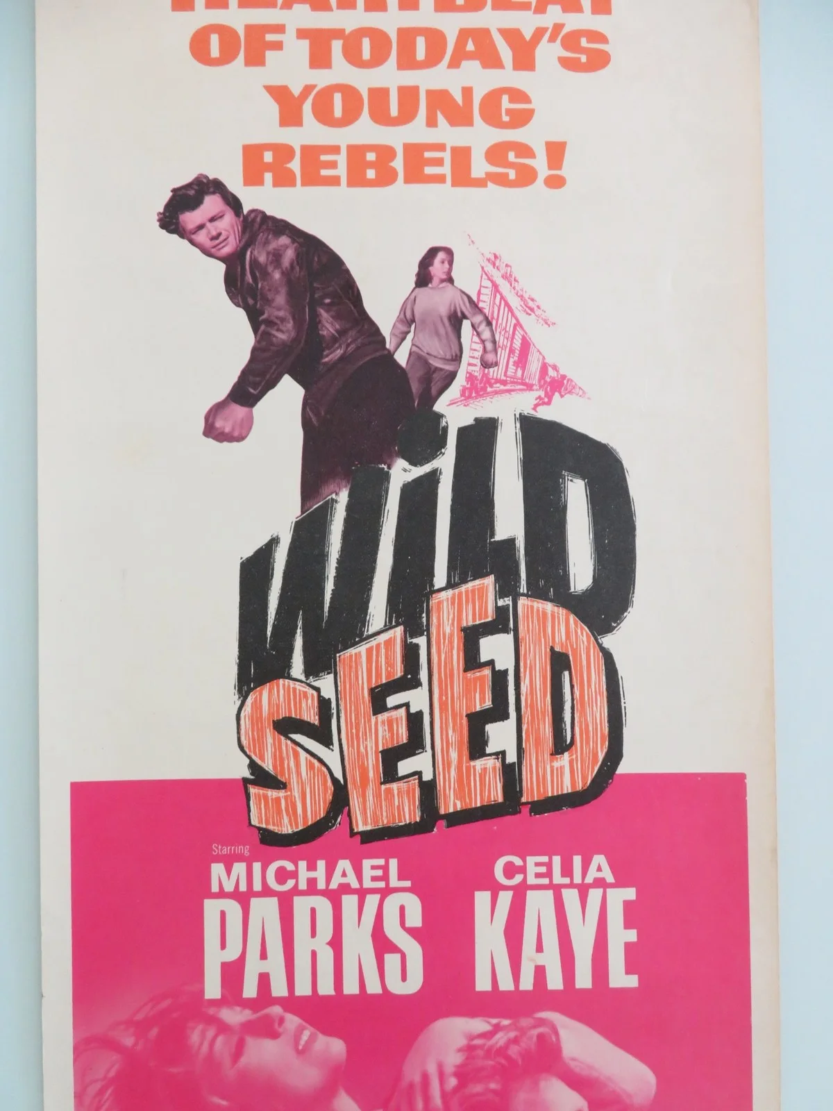 Wild Seed US Insert Poster Michael Parks Celia Kaye 1965, image 3